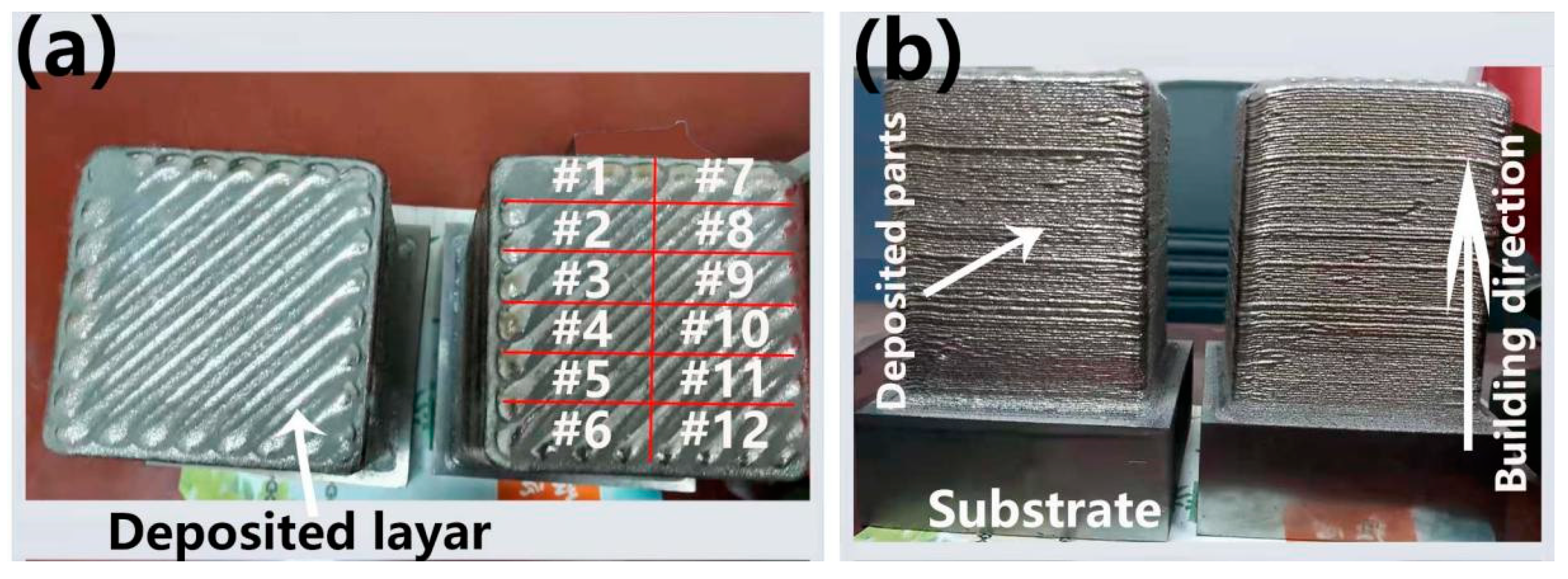 Coatings 13 00202 g003