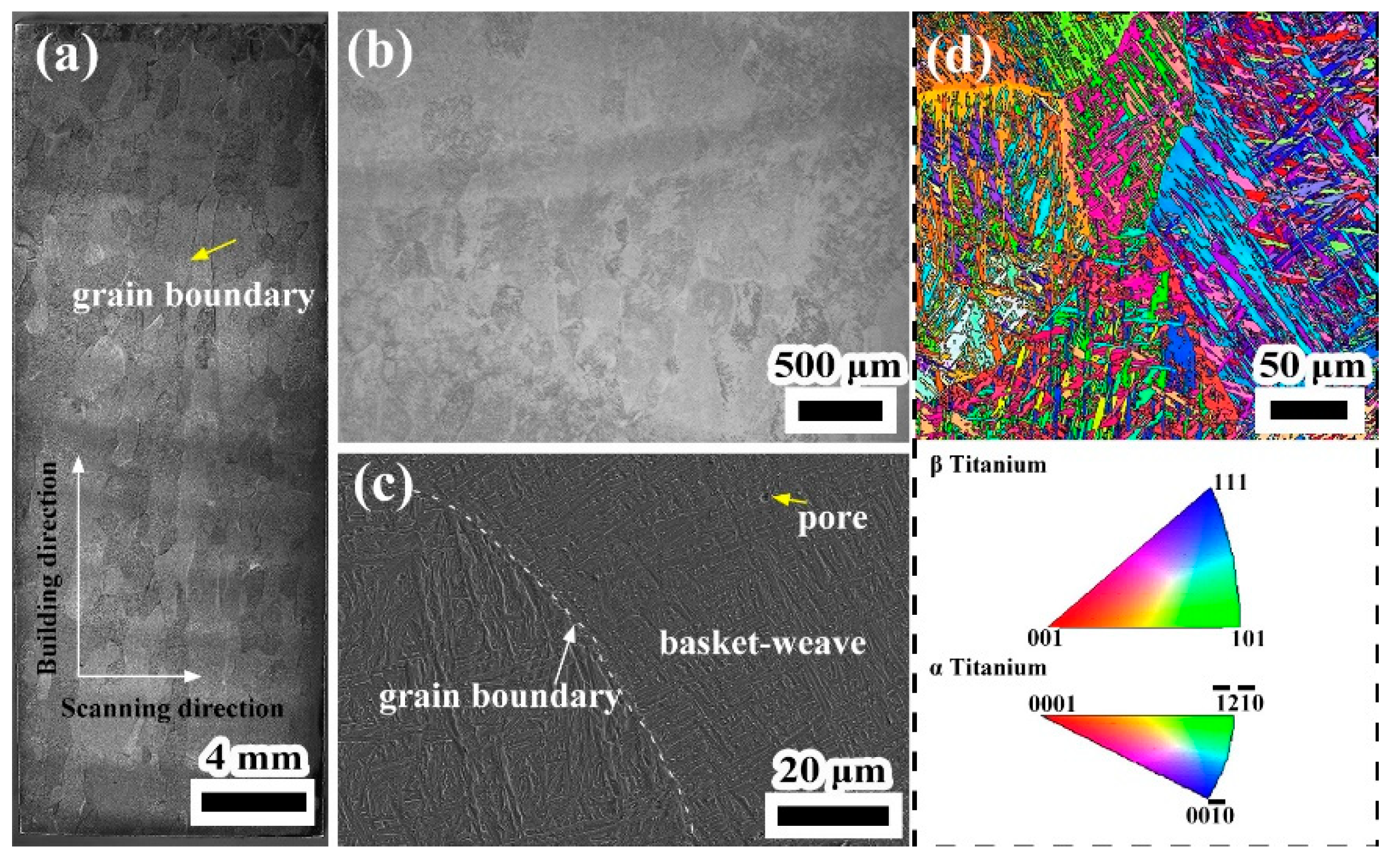 Coatings 13 00202 g007