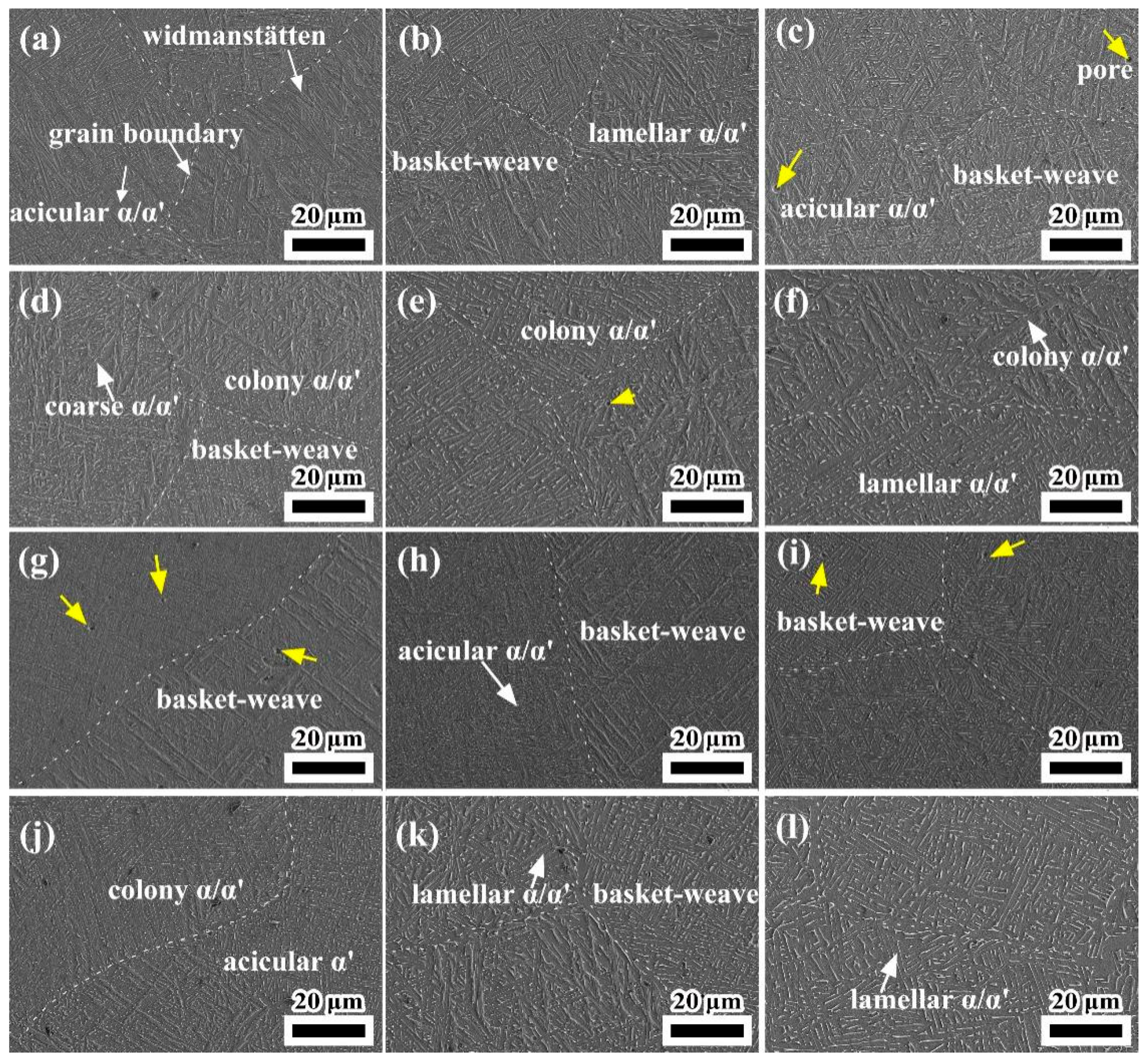 Coatings 13 00202 g010