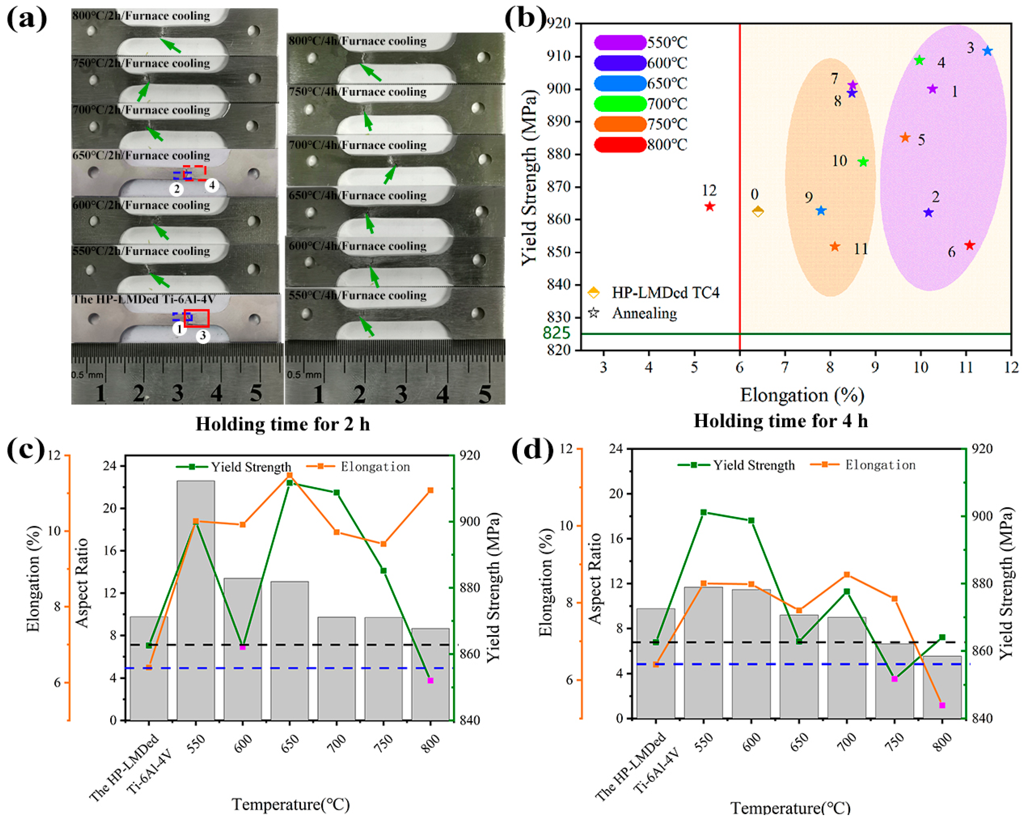 Coatings 13 00202 g013