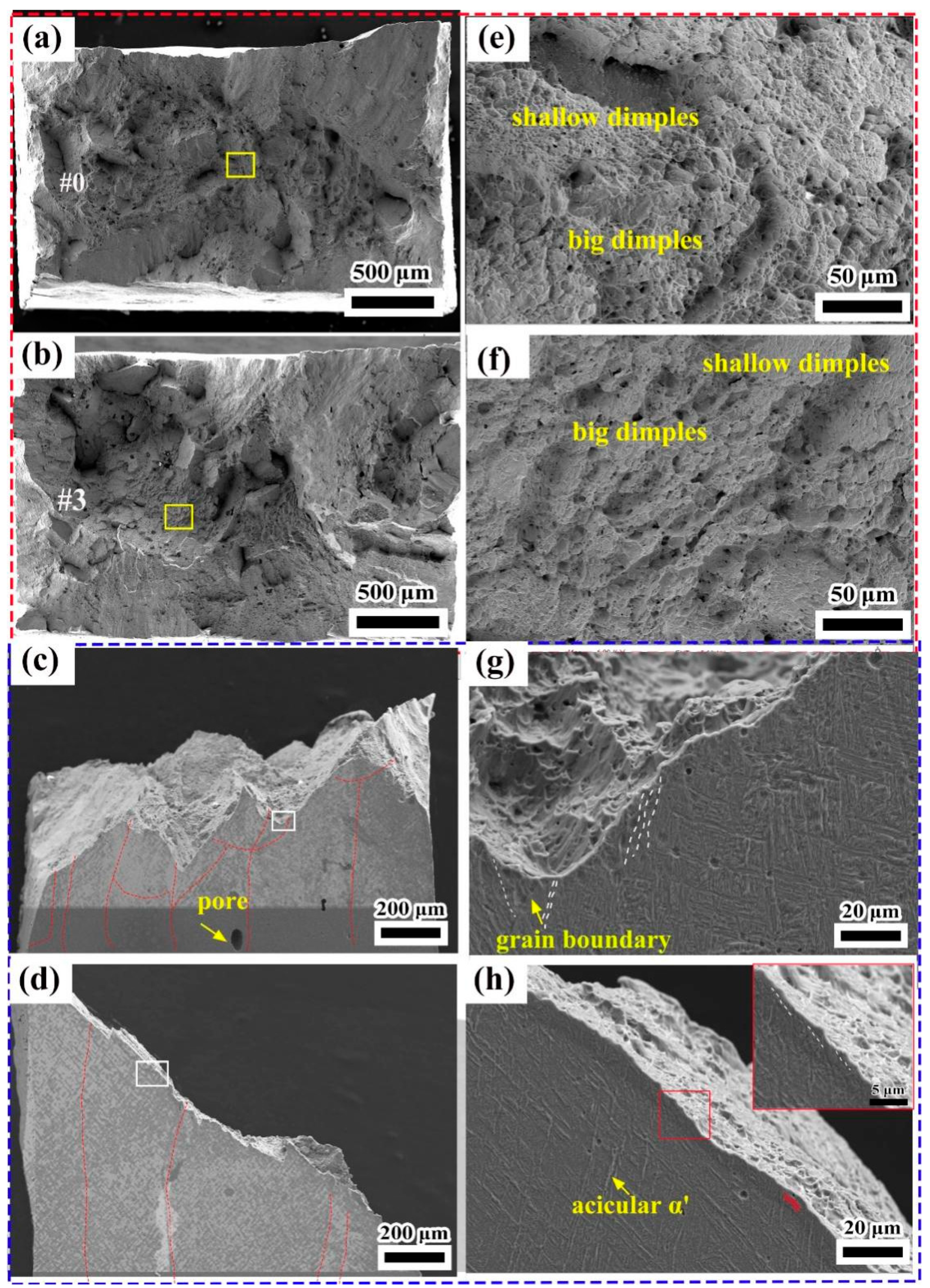 Coatings 13 00202 g014