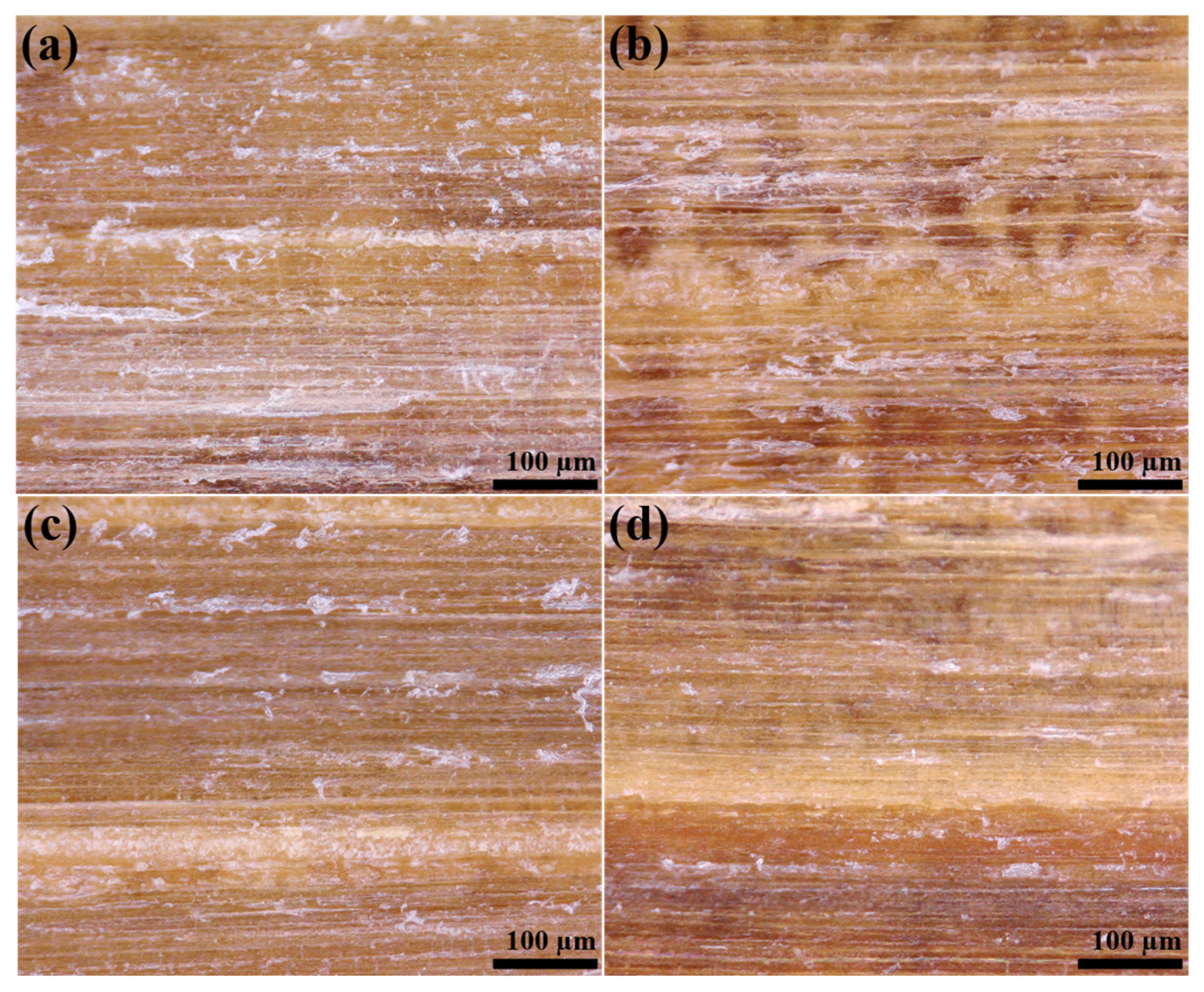 Coatings 13 00203 g001 Coatings 13 00203 g001