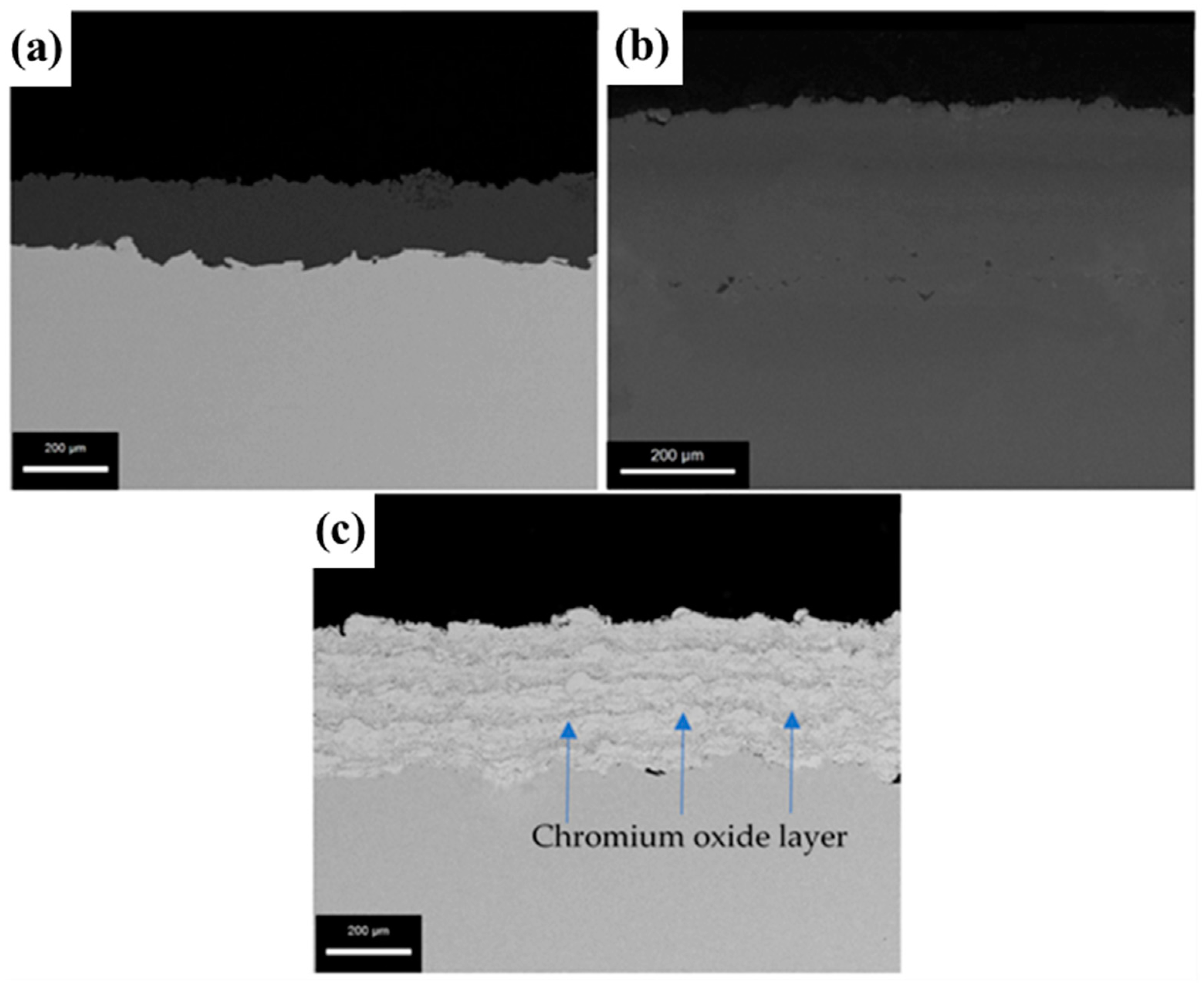 Coatings 13 00204 g003 550