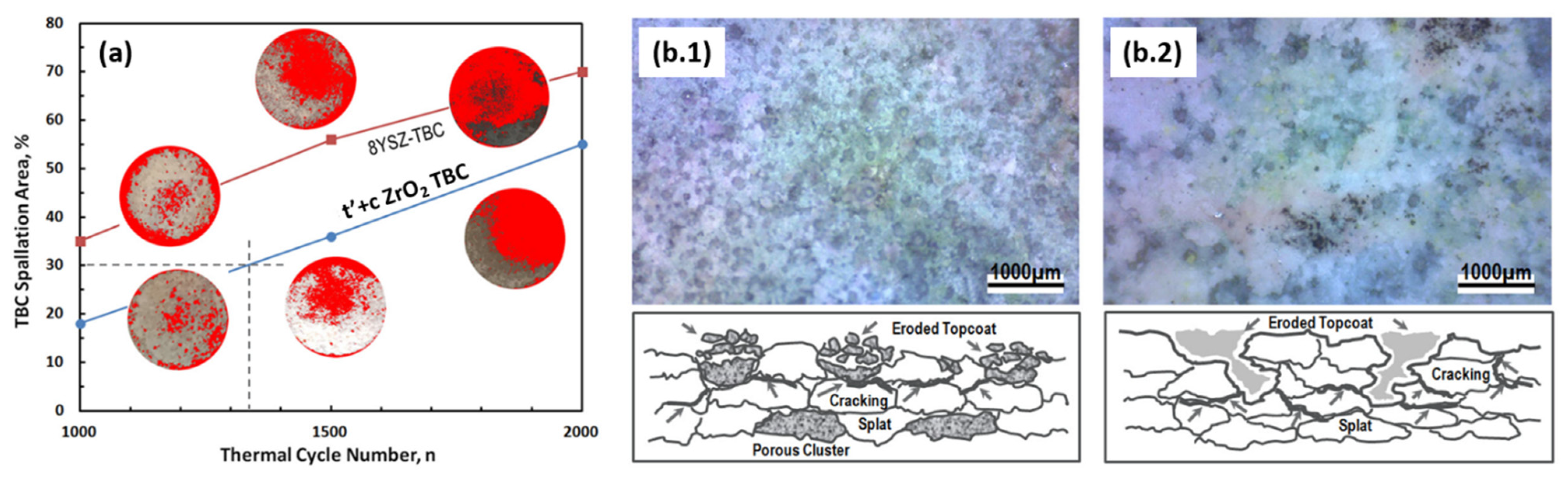 Coatings 13 00210 g009 Coatings 13 00210 g009