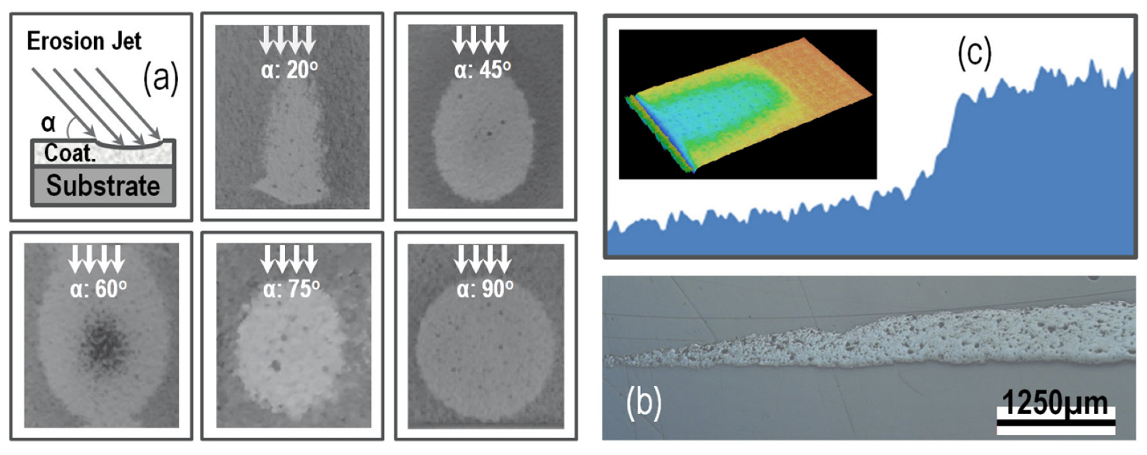 Coatings 13 00210 g010 Coatings 13 00210 g010