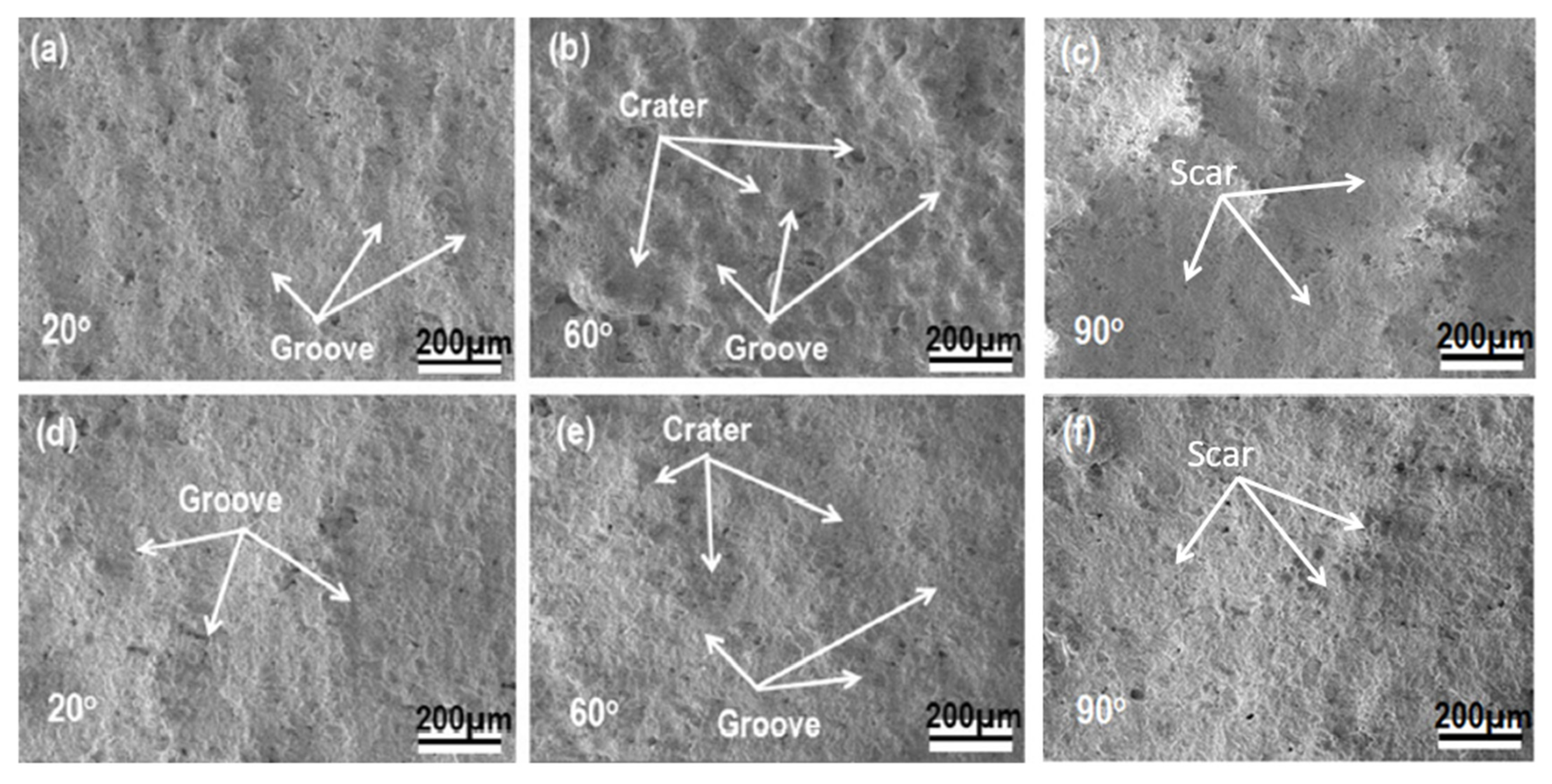 Coatings 13 00210 g012 Coatings 13 00210 g012
