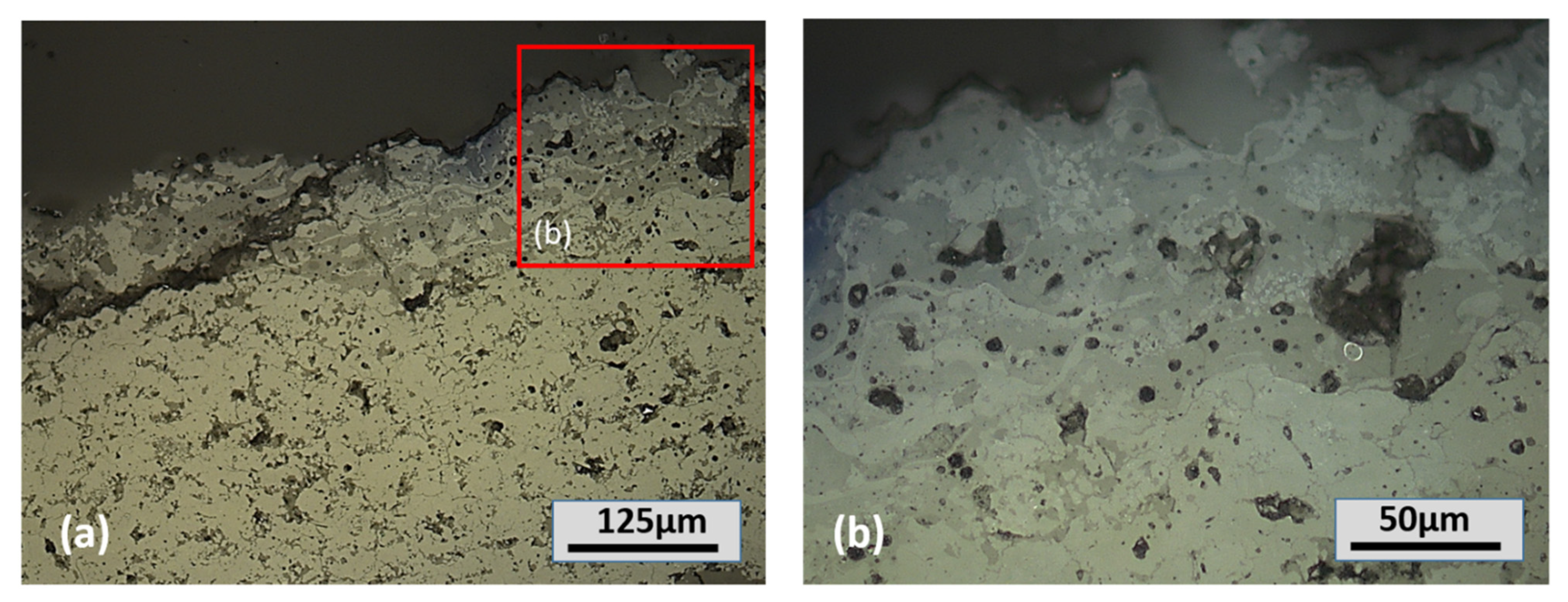 Coatings 13 00210 g013 Coatings 13 00210 g013