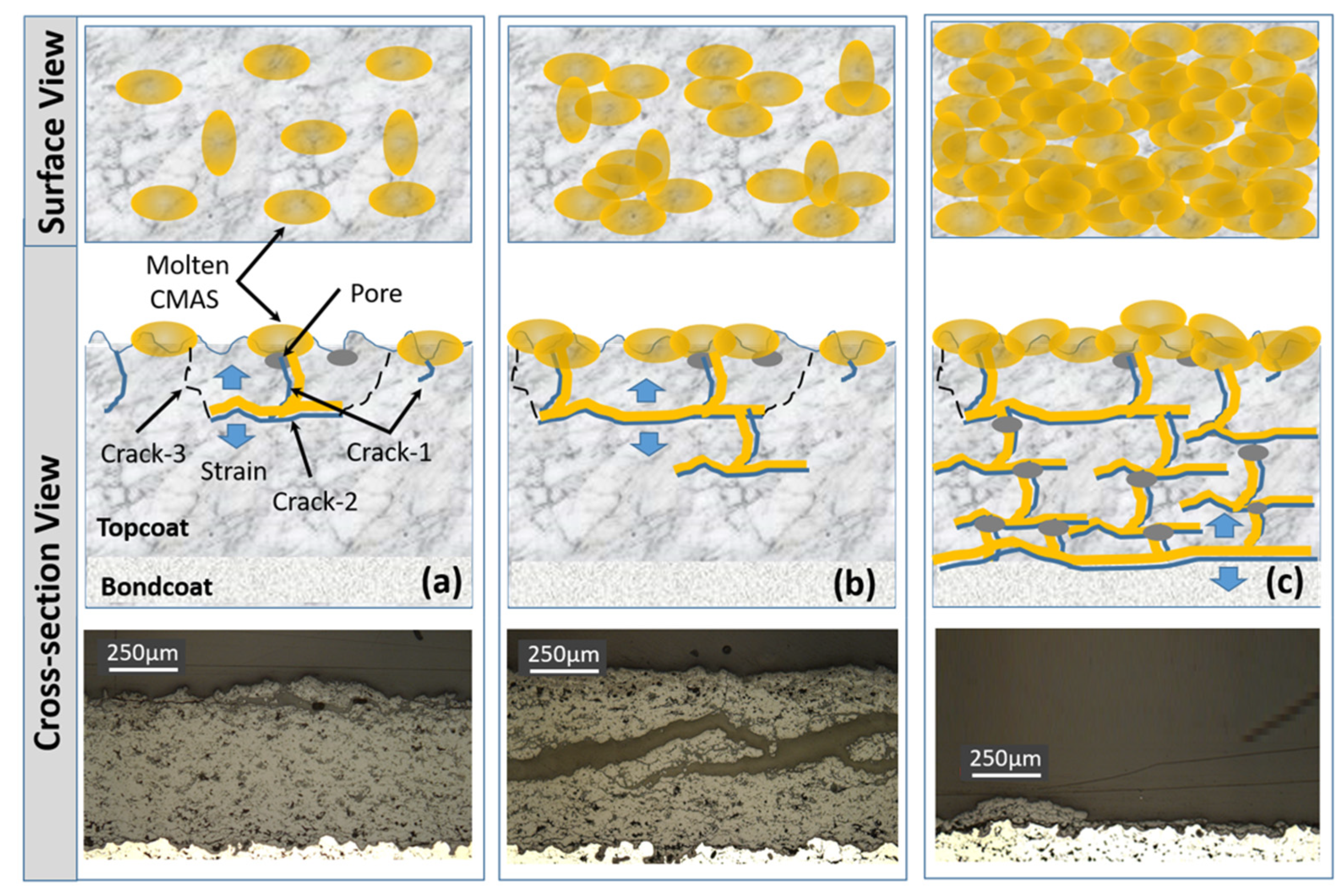 Coatings 13 00210 g015 Coatings 13 00210 g015