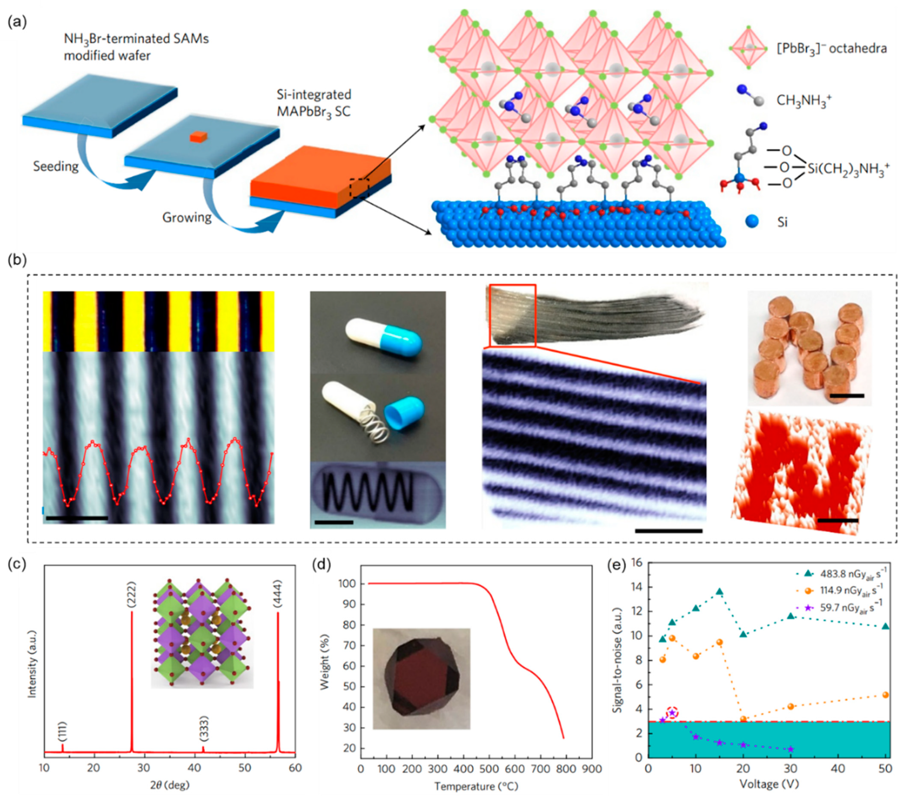Coatings 13 00211 g004 Coatings 13 00211 g004