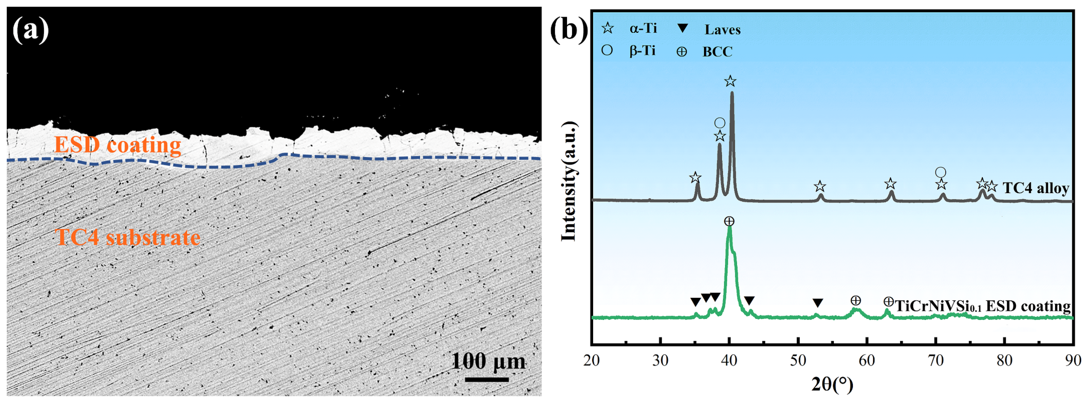 Coatings 13 00214 g004