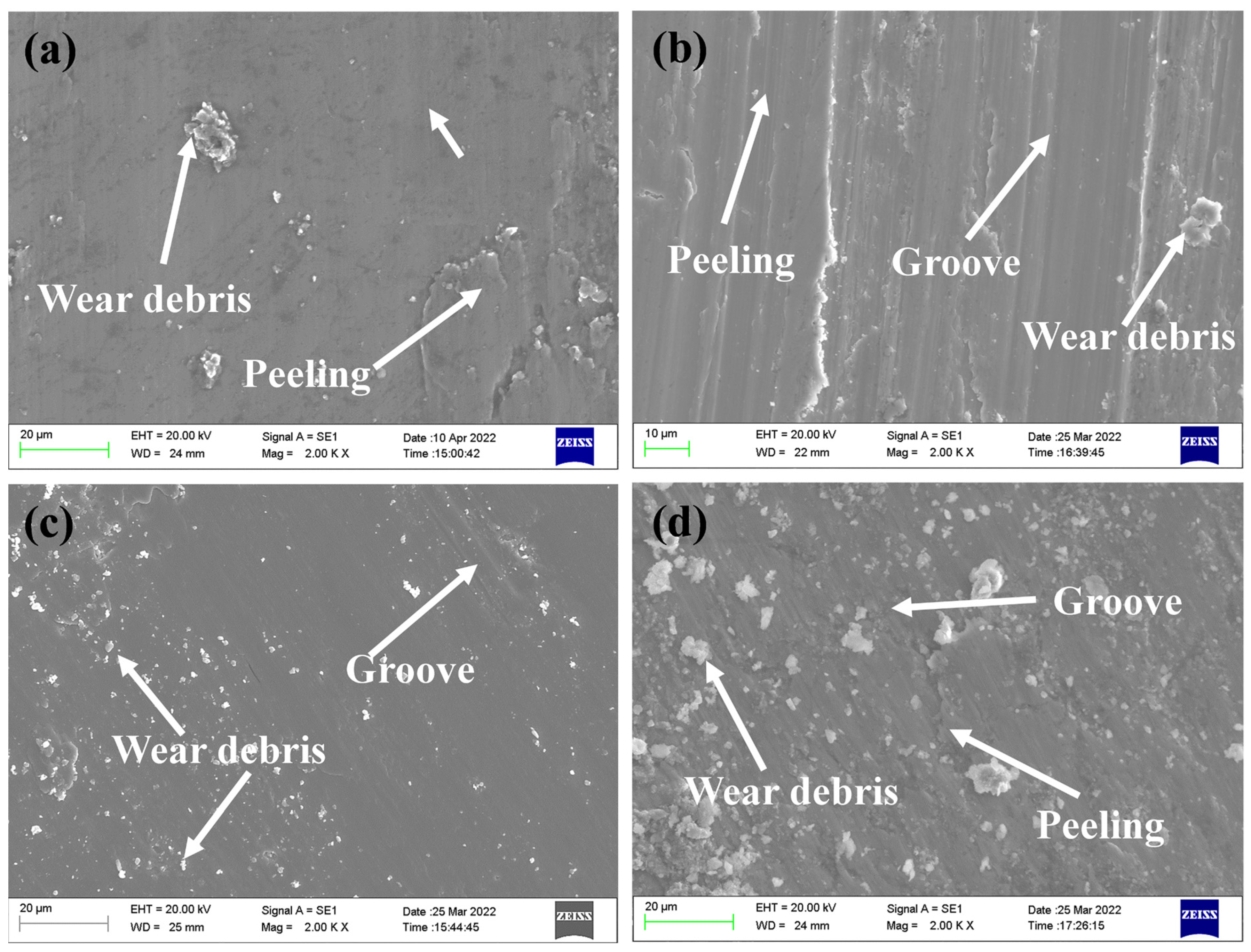 Coatings 13 00214 g006
