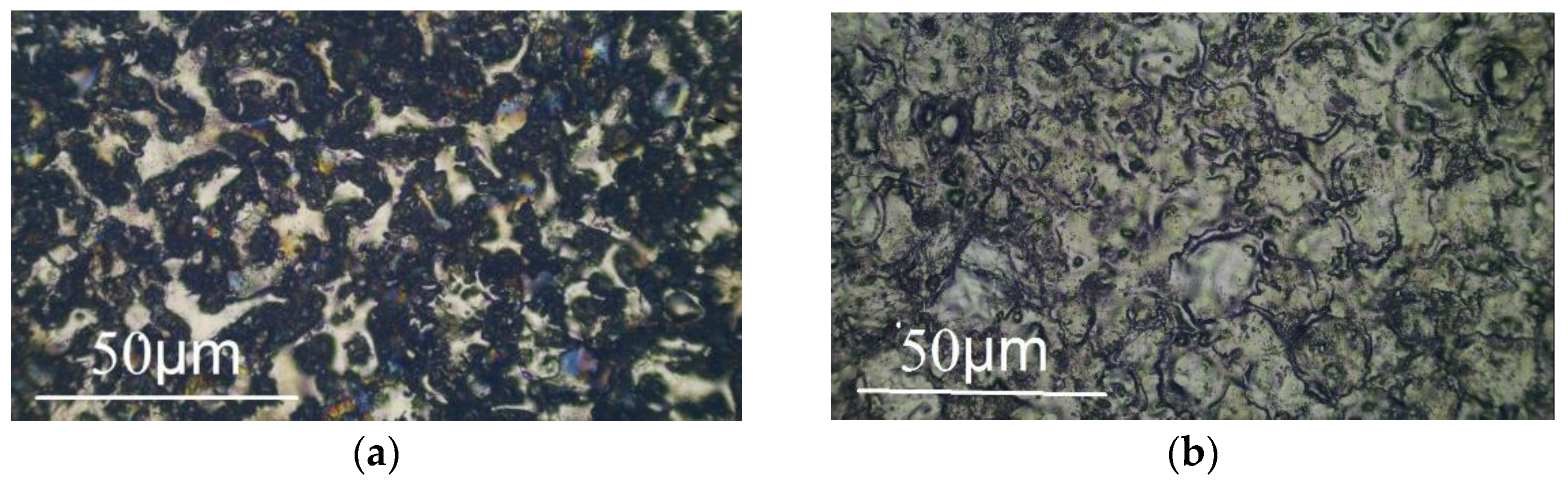 Coatings 13 00215 g001 550