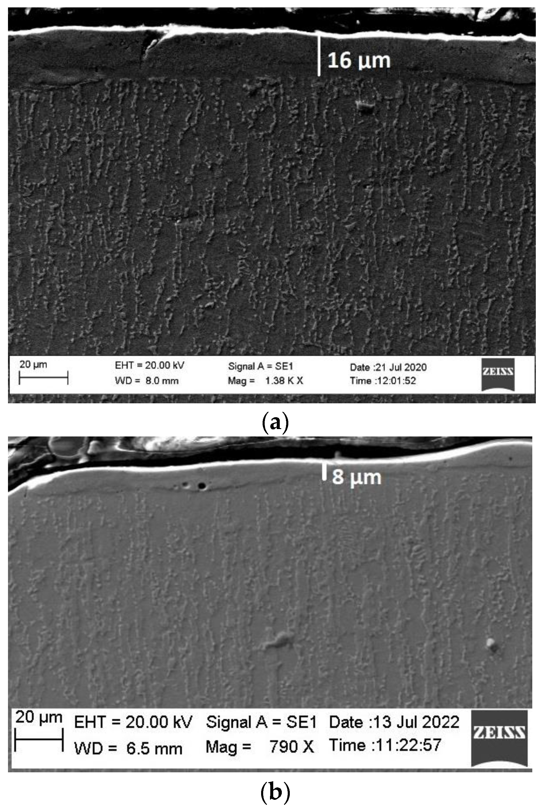 Coatings 13 00215 g003 550