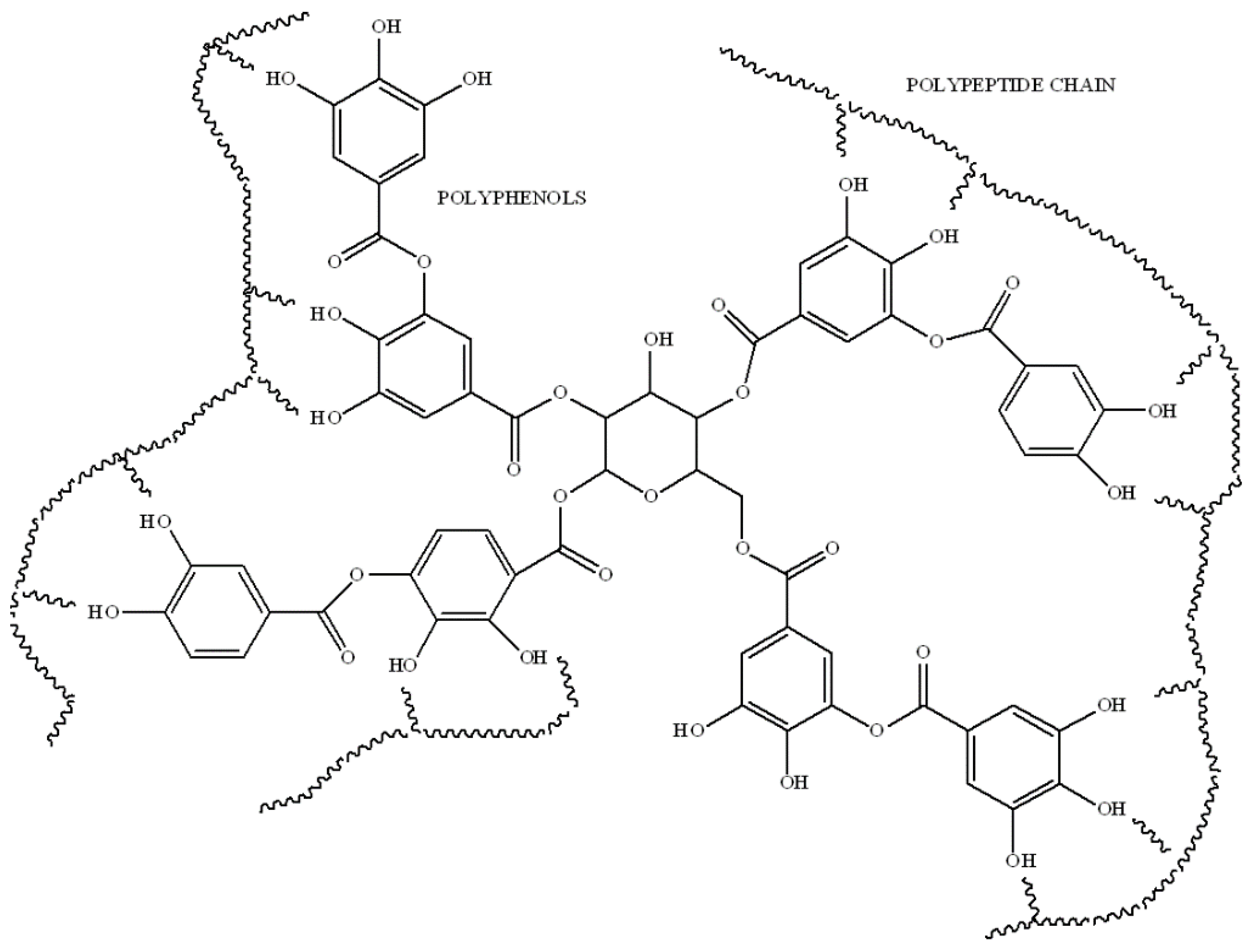 Coatings 13 00217 g001 Coatings 13 00217 g001