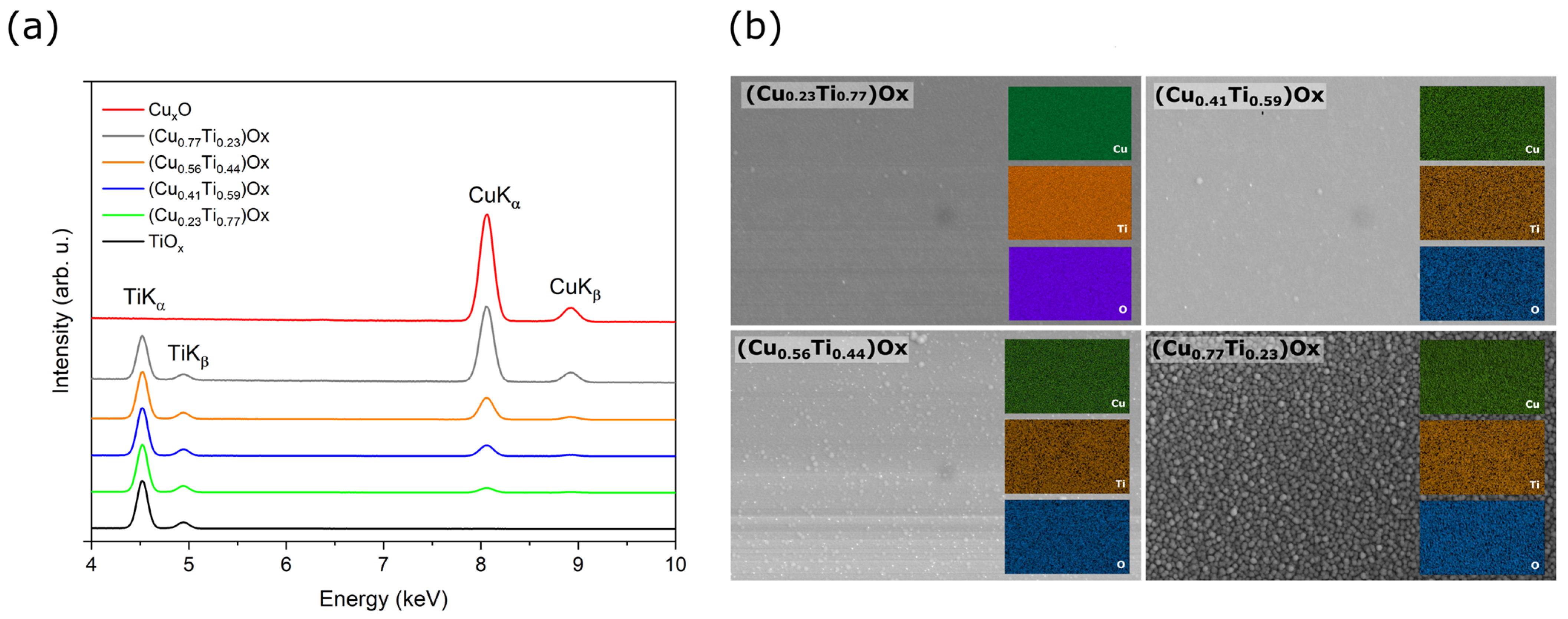 Coatings 13 00220 g001