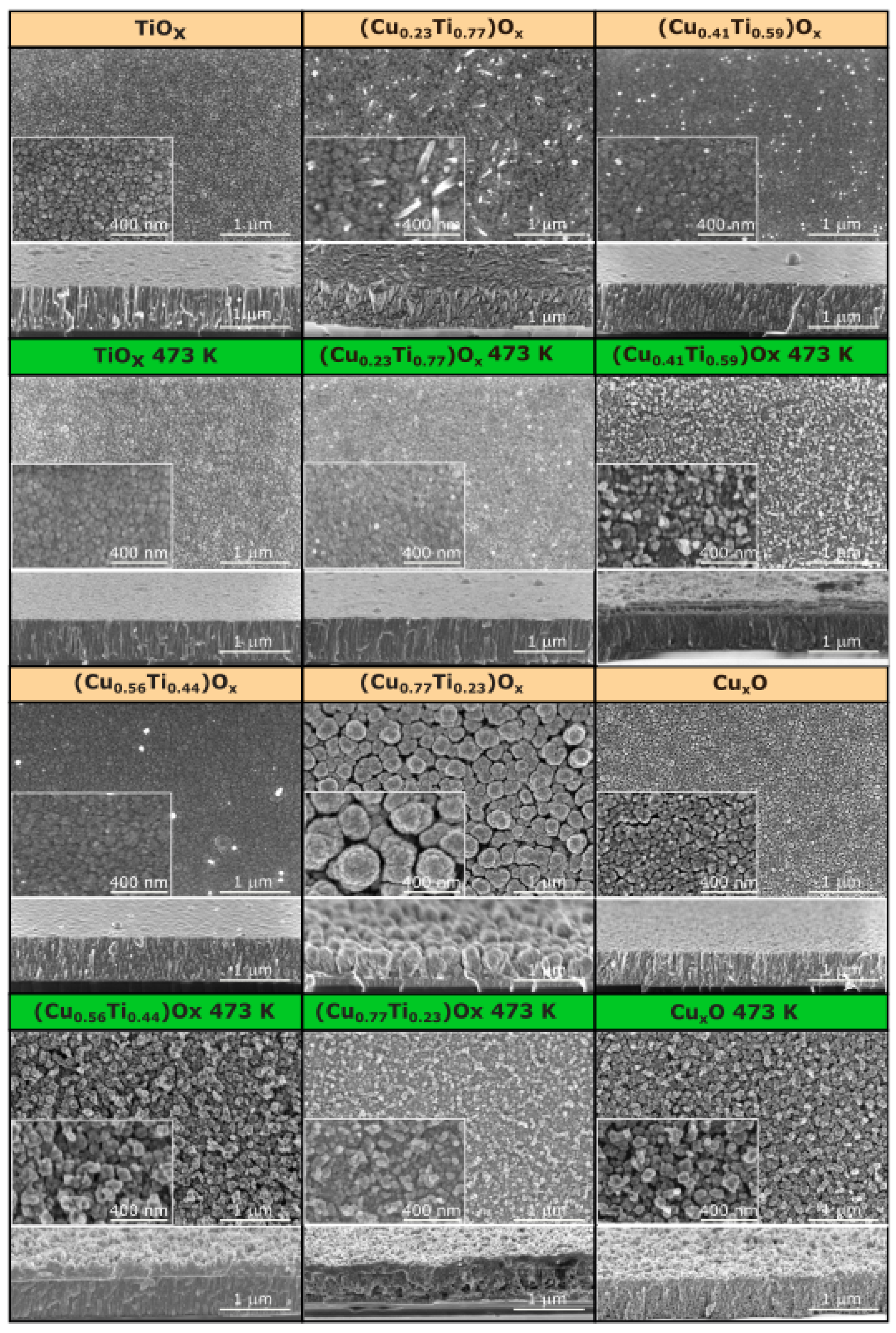 Coatings 13 00220 g003