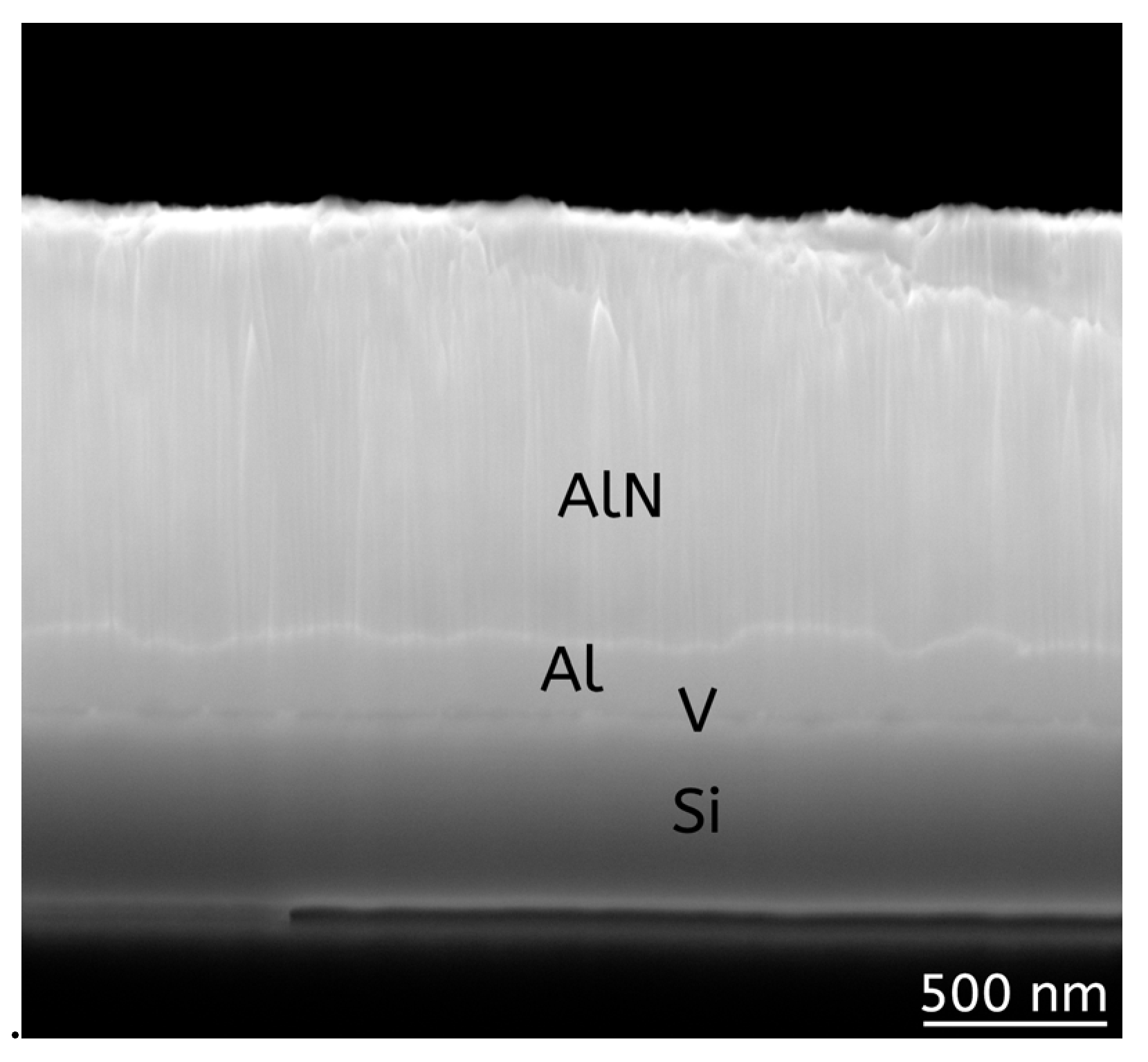 Coatings 13 00223 g010