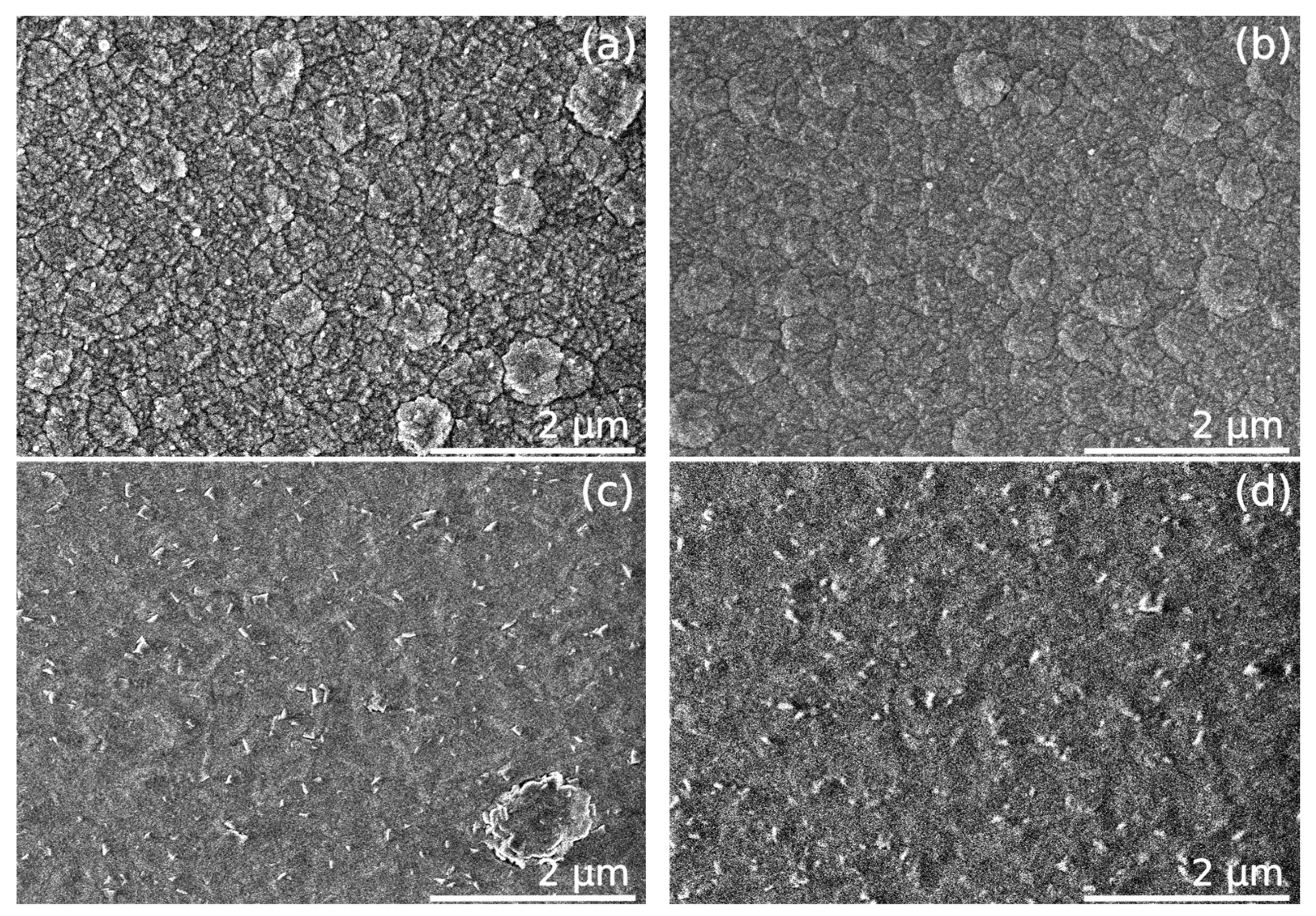 Coatings 13 00223 g011