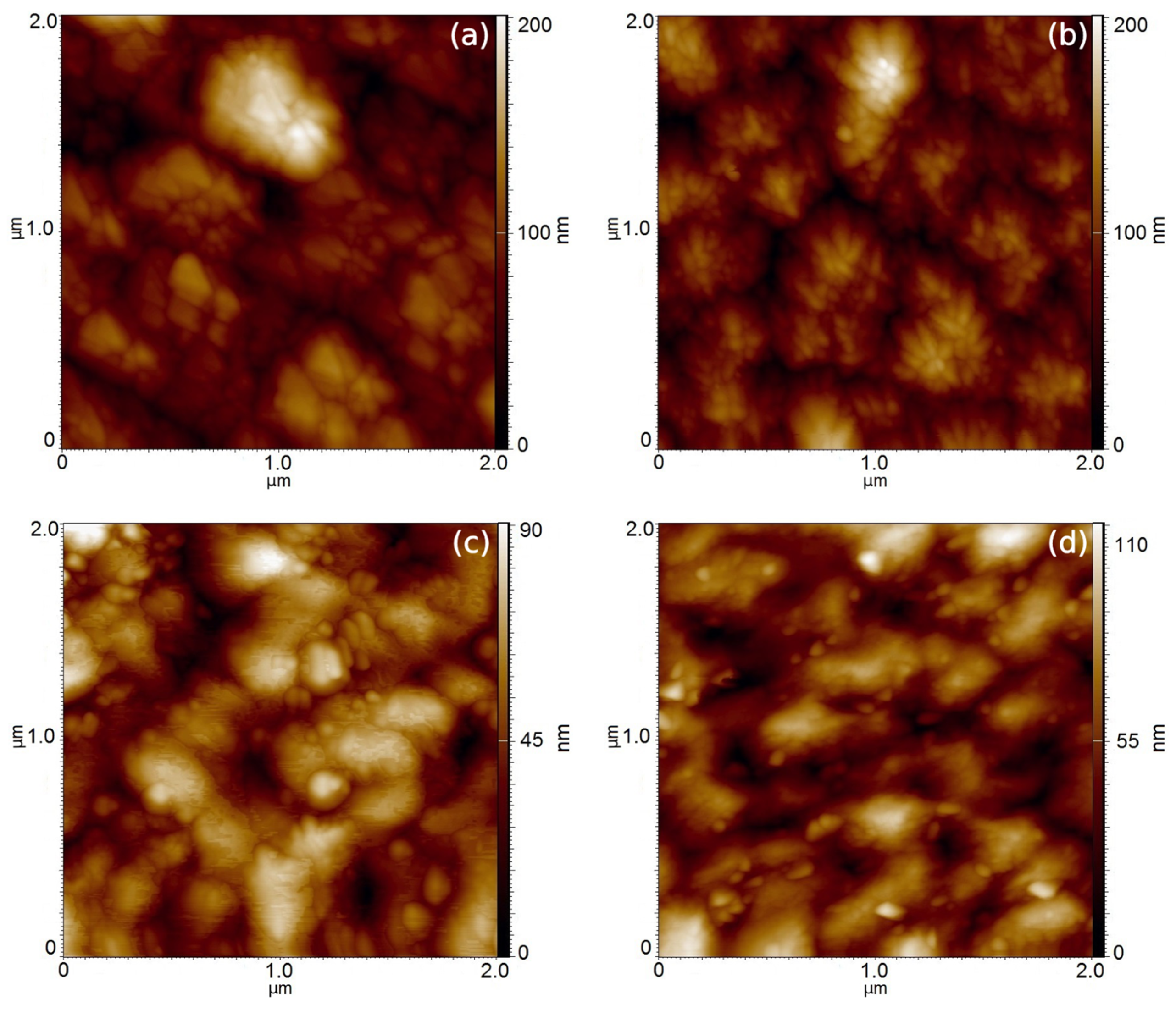 Coatings 13 00223 g012