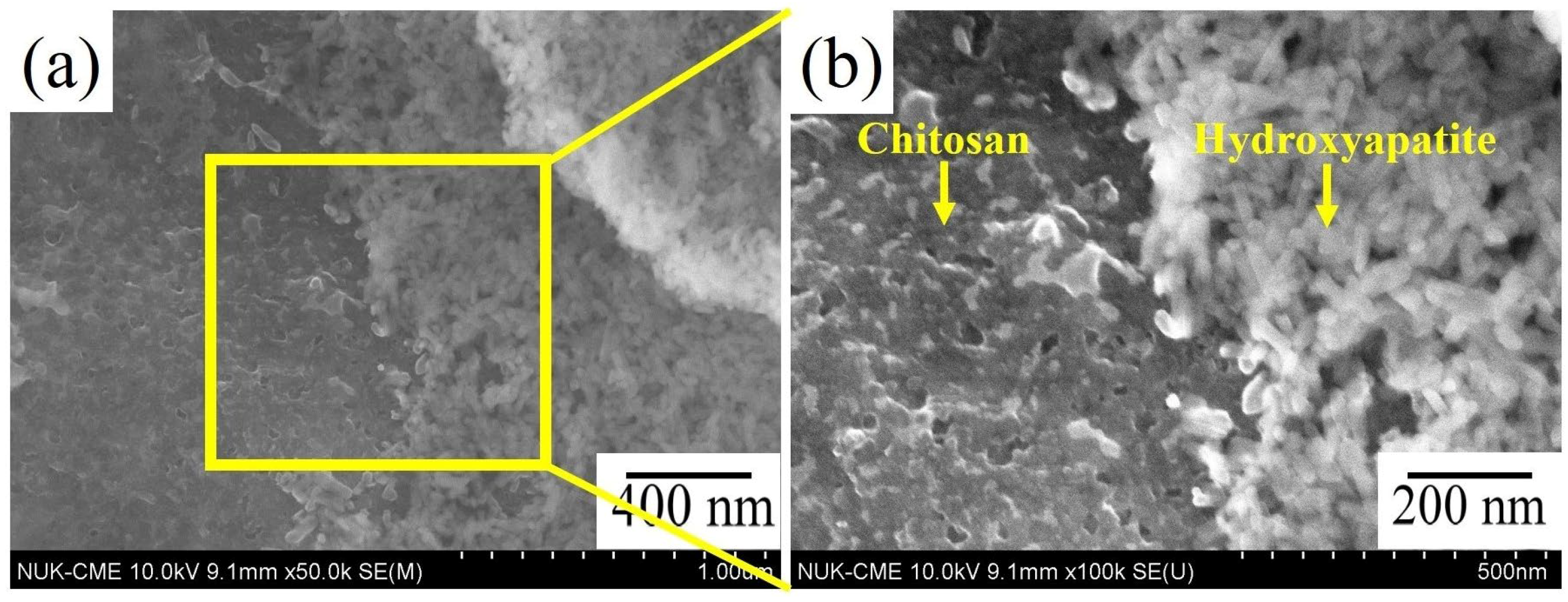 Coatings 13 00228 g002 Coatings 13 00228 g002