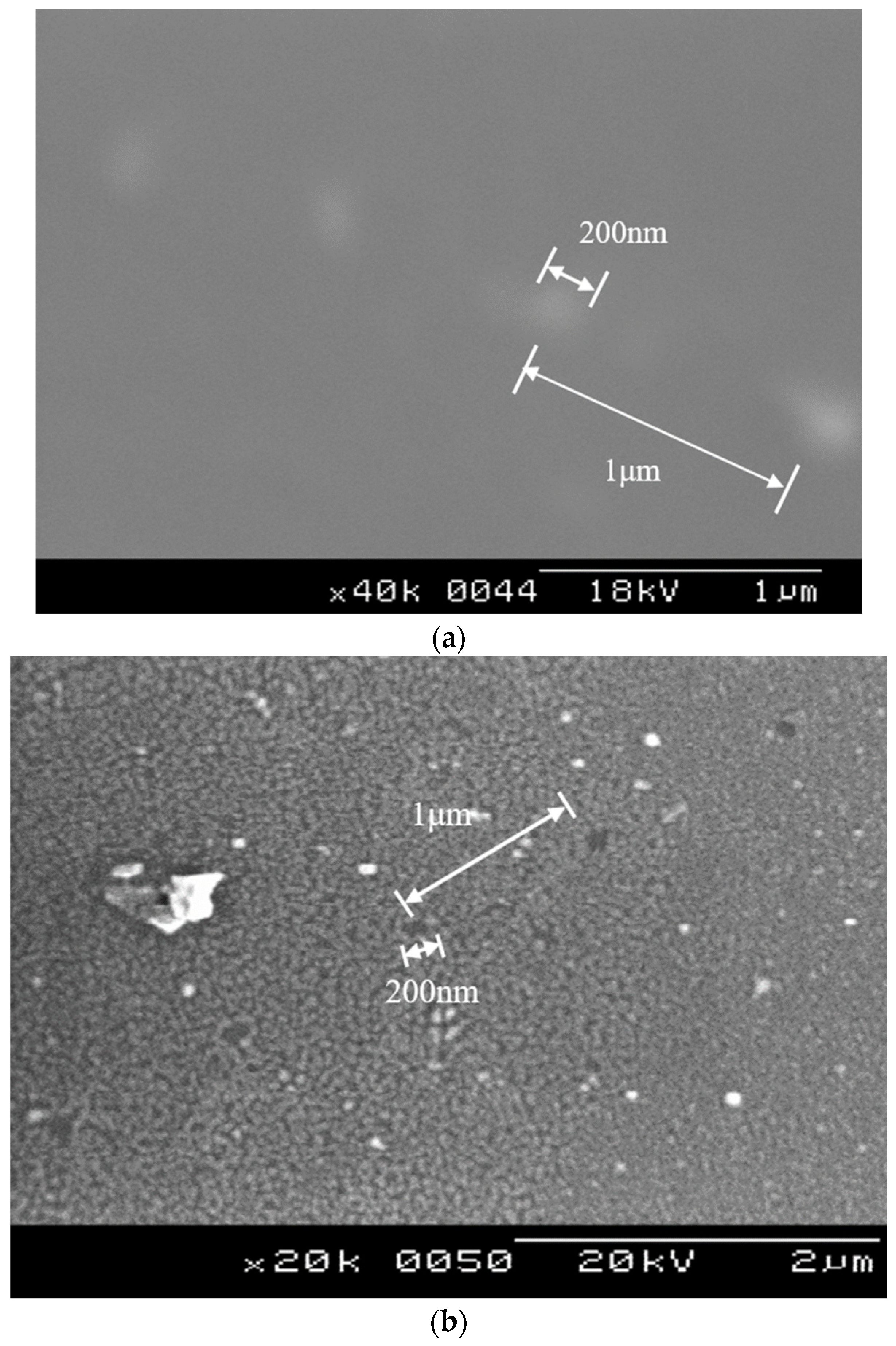 Coatings 13 00229 g006 550