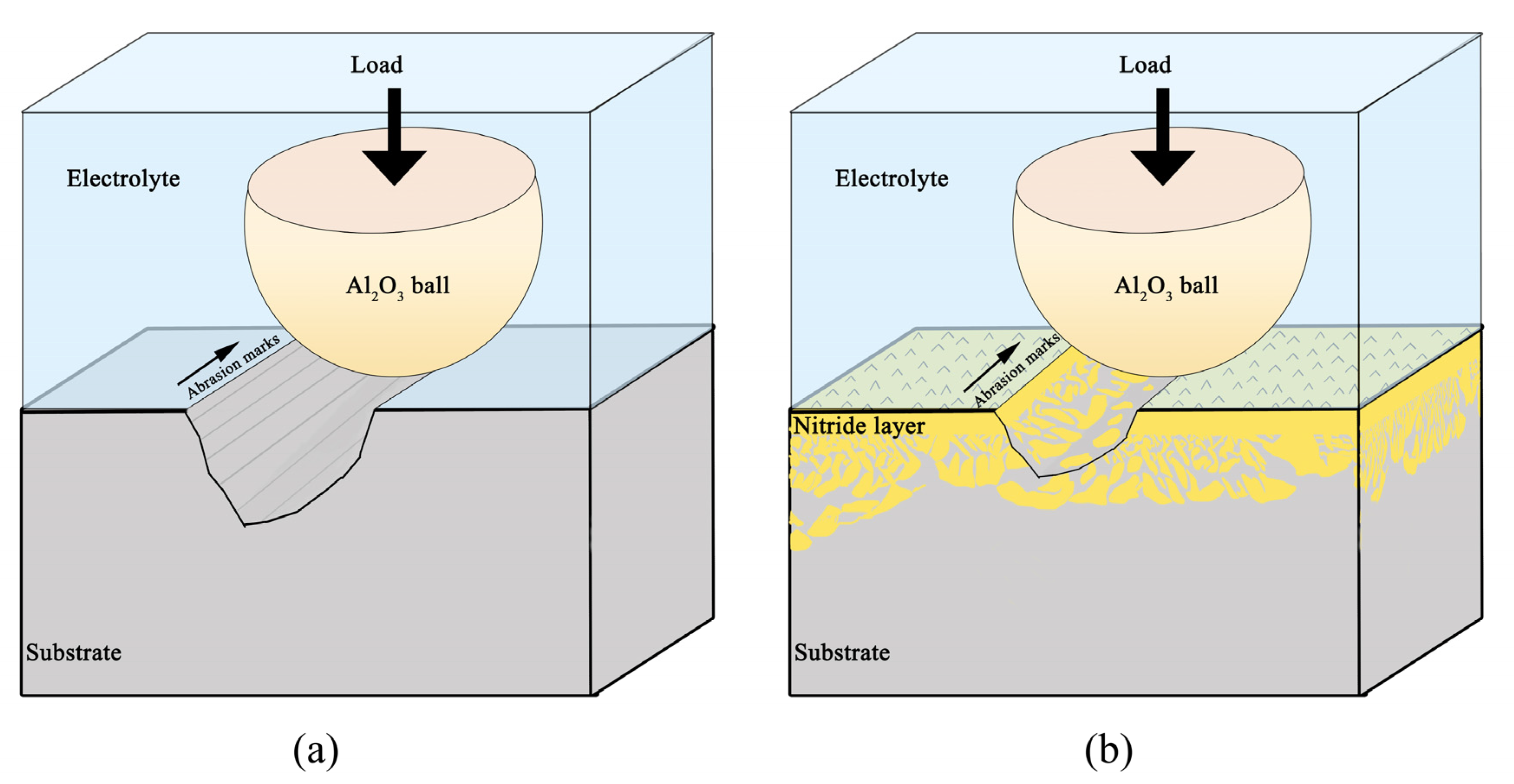 Coatings 13 00231 g012 Coatings 13 00231 g012