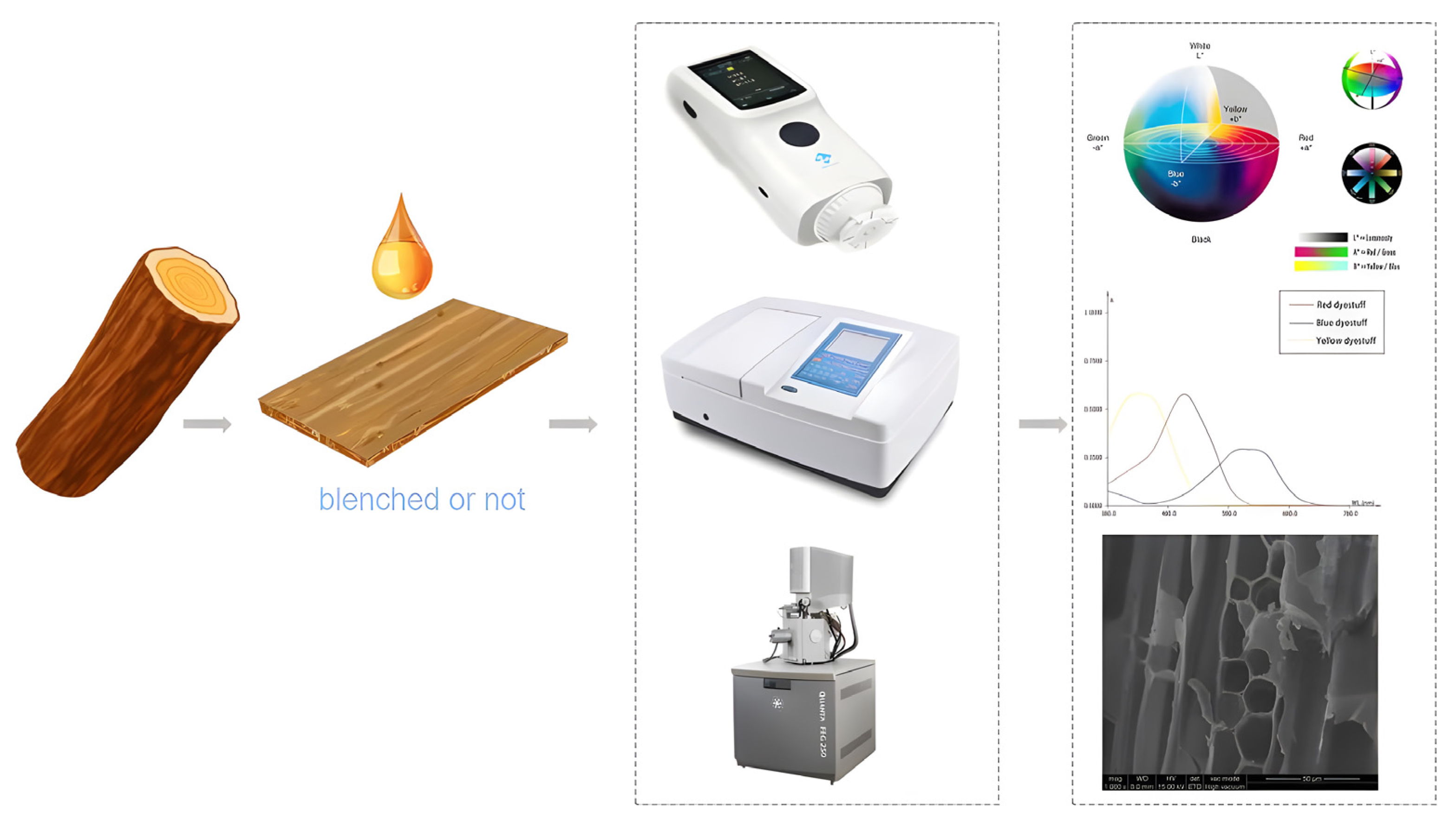 Coatings 13 00233 g001