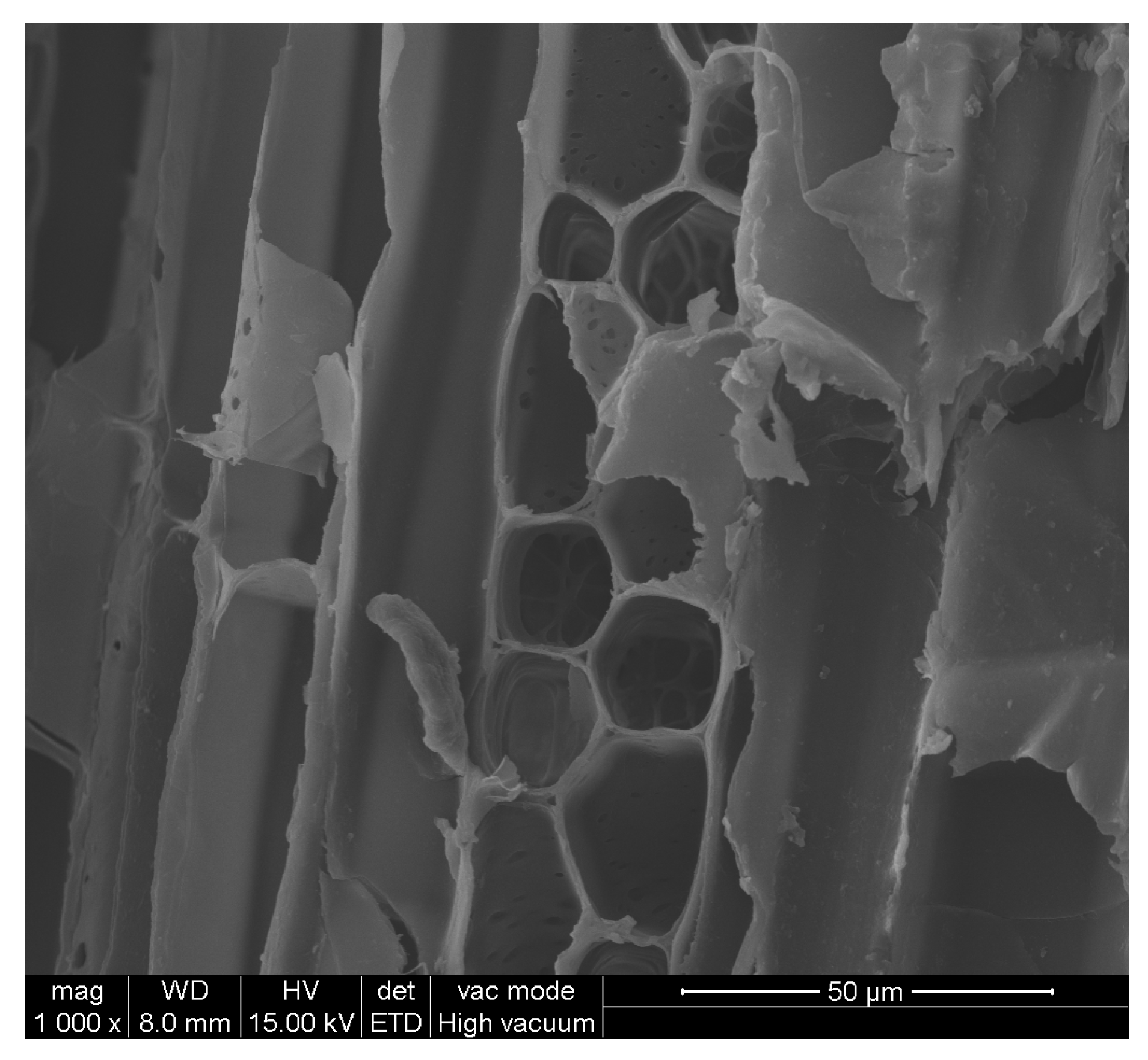 Coatings 13 00233 g008