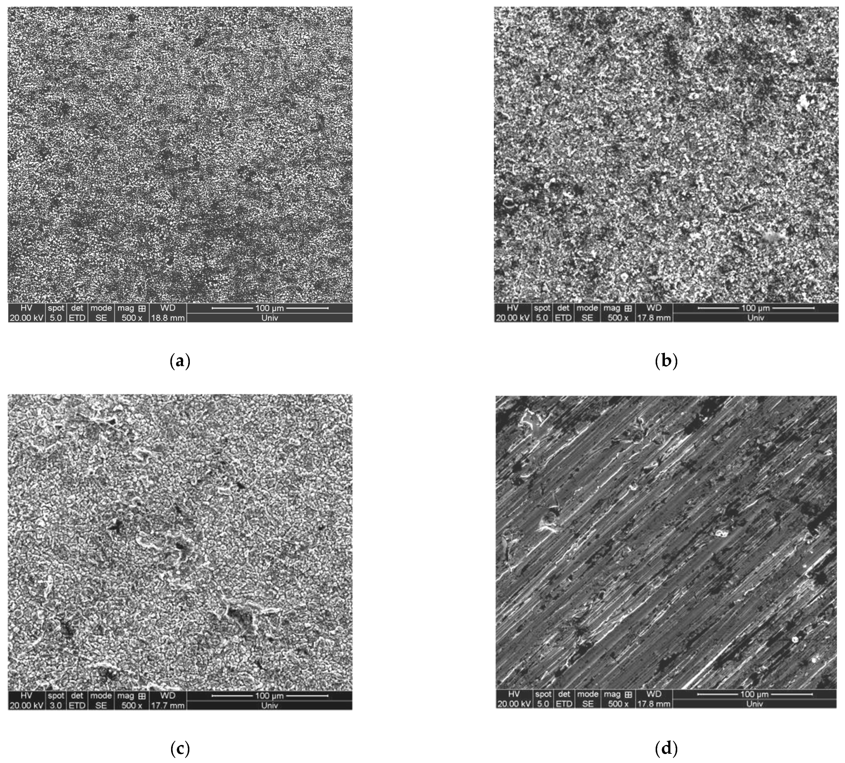 Coatings 13 00234 g005