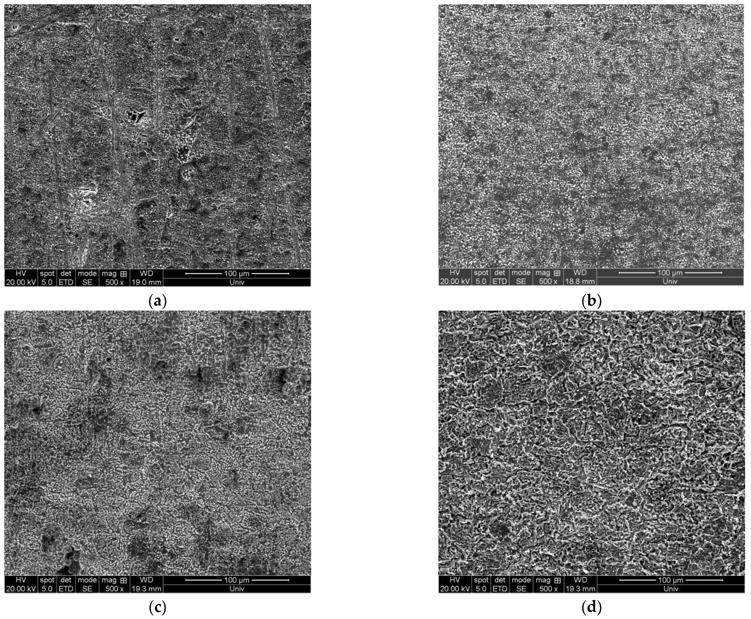 Coatings 13 00234 g011