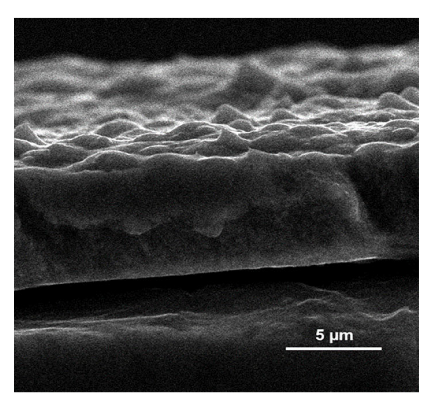 Coatings 13 00241 g002 Coatings 13 00241 g002
