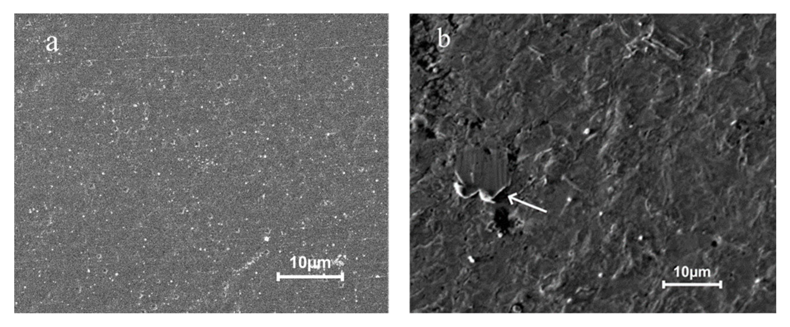 Coatings 13 00241 g006 Coatings 13 00241 g006