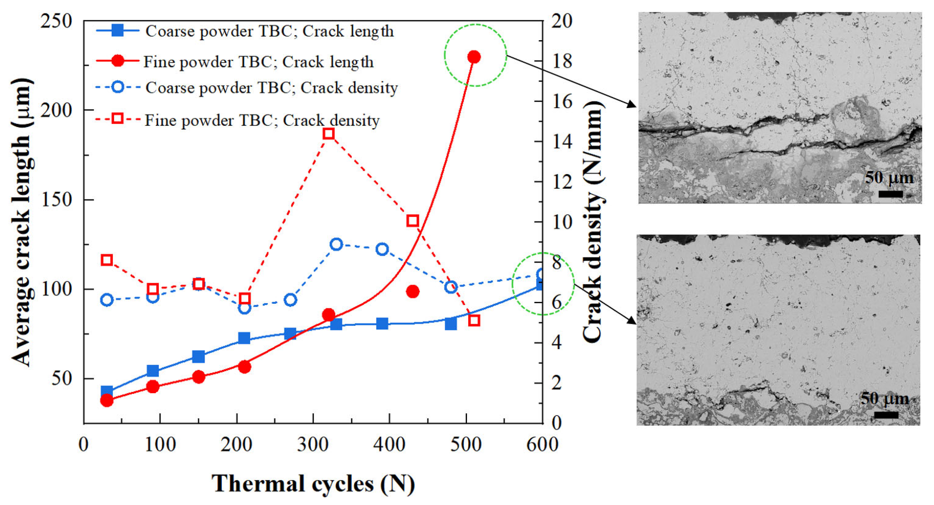 Coatings 13 00243 g008