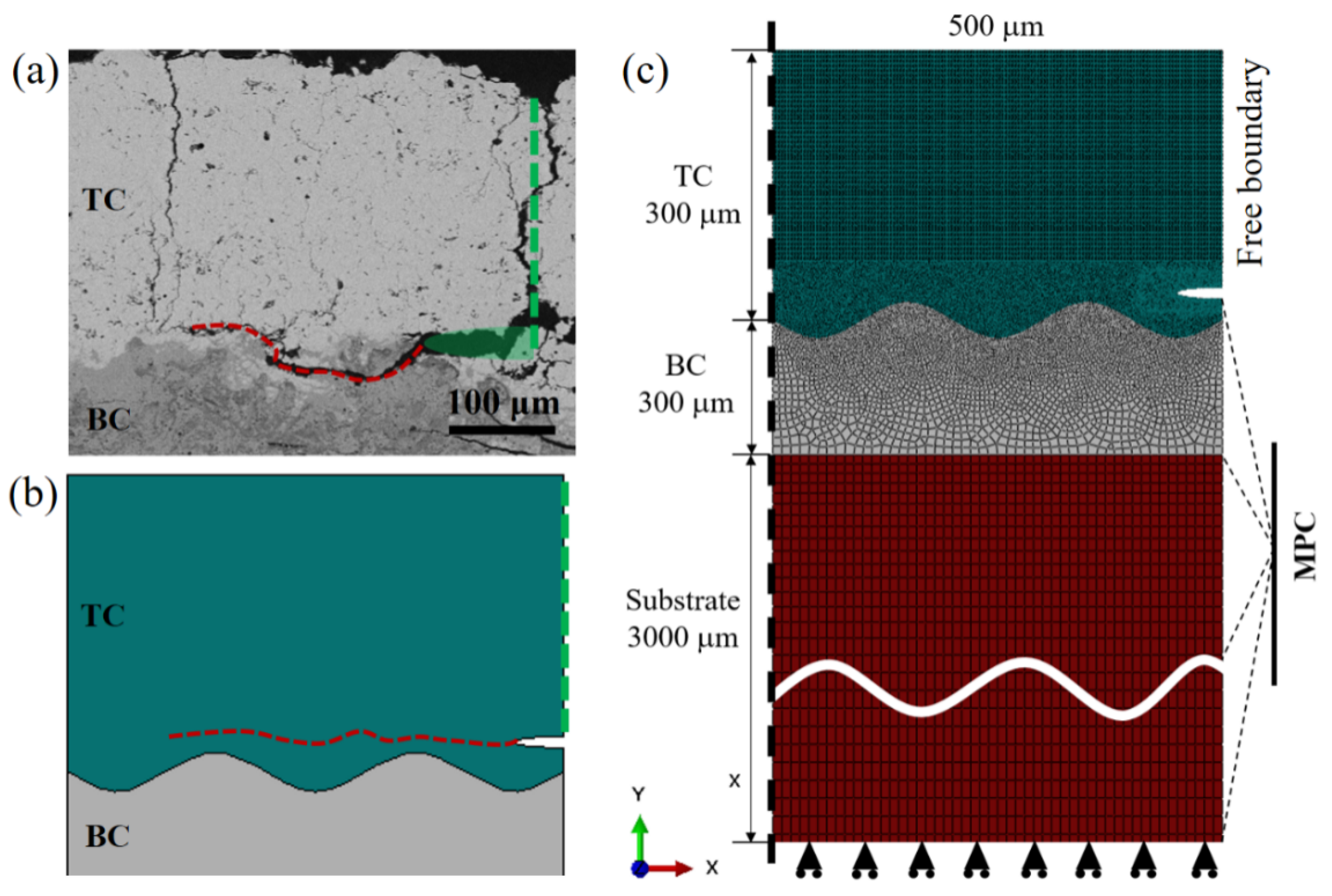 Coatings 13 00243 g013