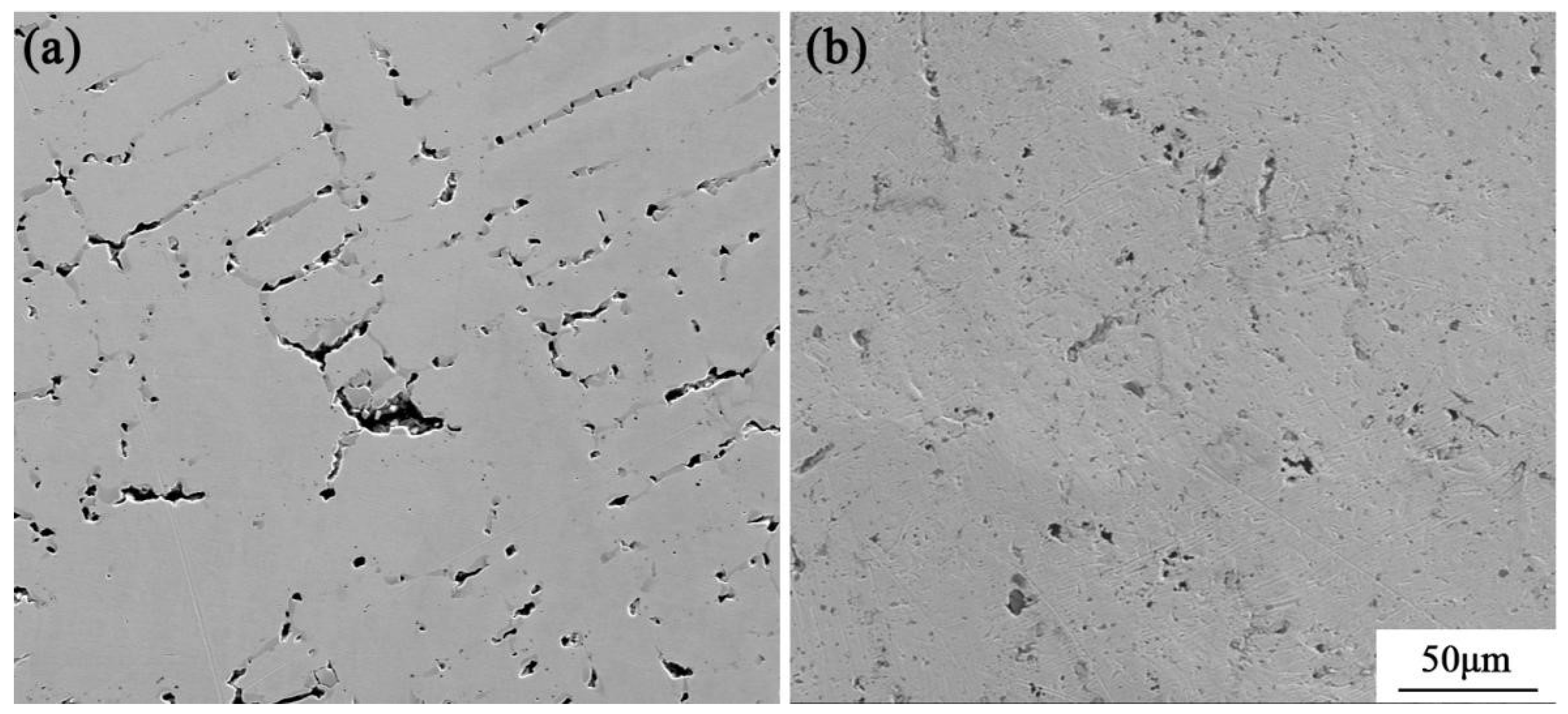 Coatings 13 00246 g004