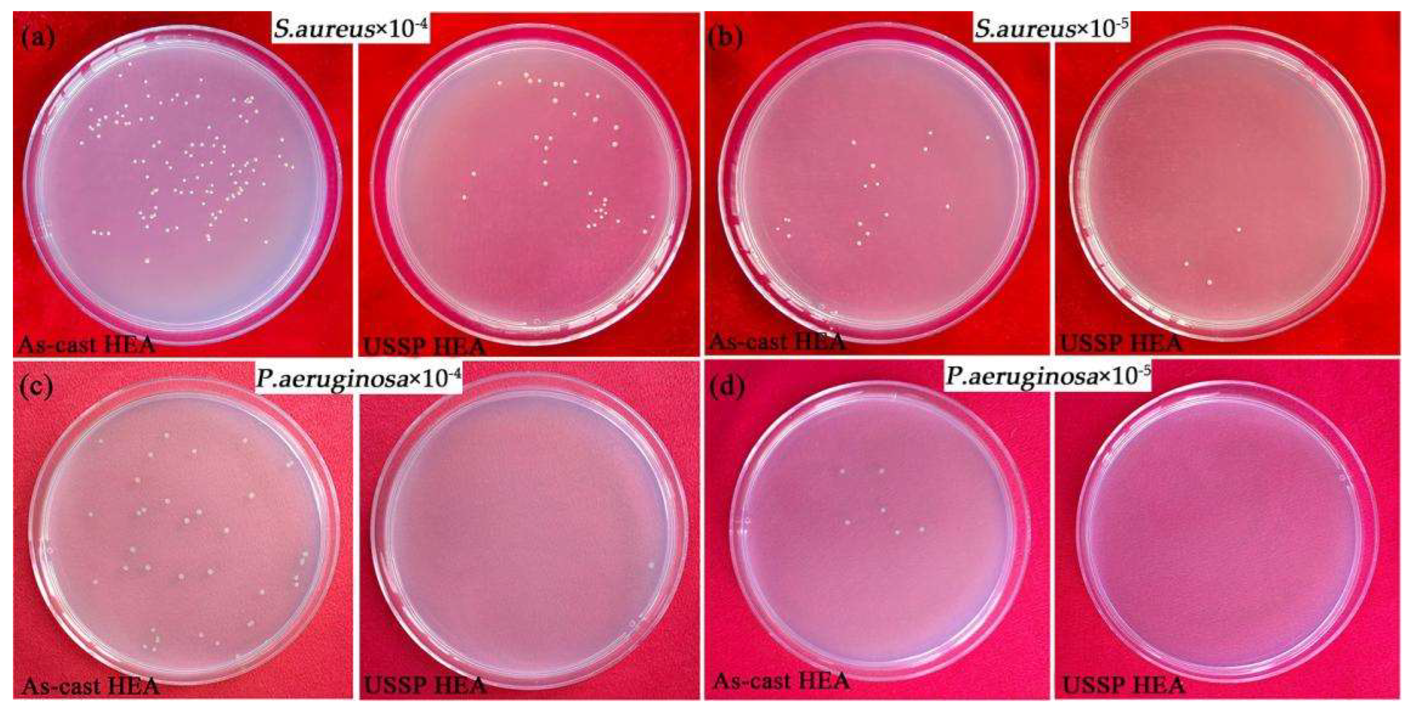 Coatings 13 00246 g006