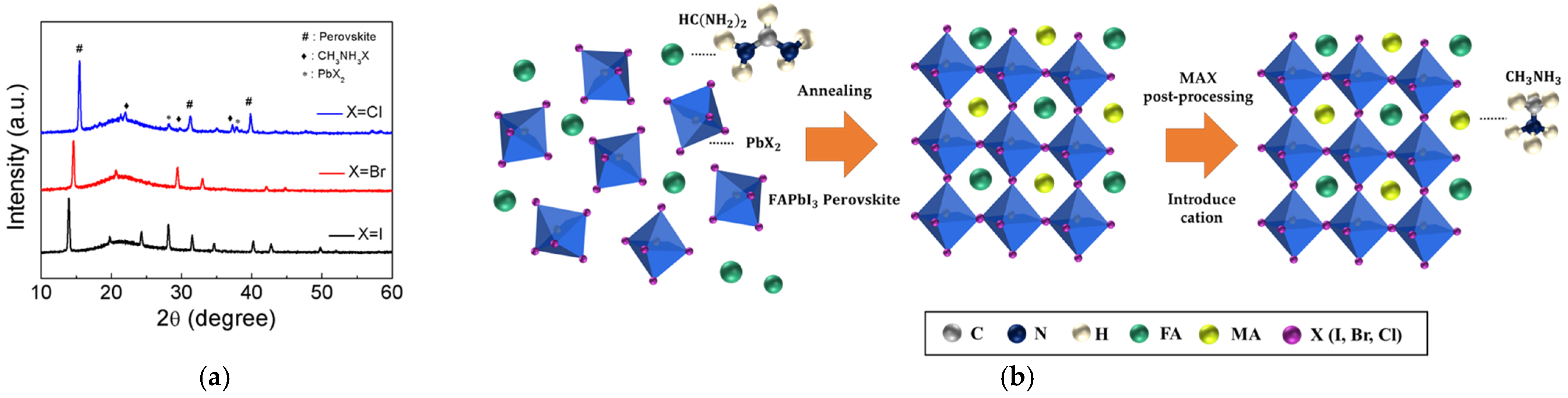 Coatings 13 00248 g002 Coatings 13 00248 g002