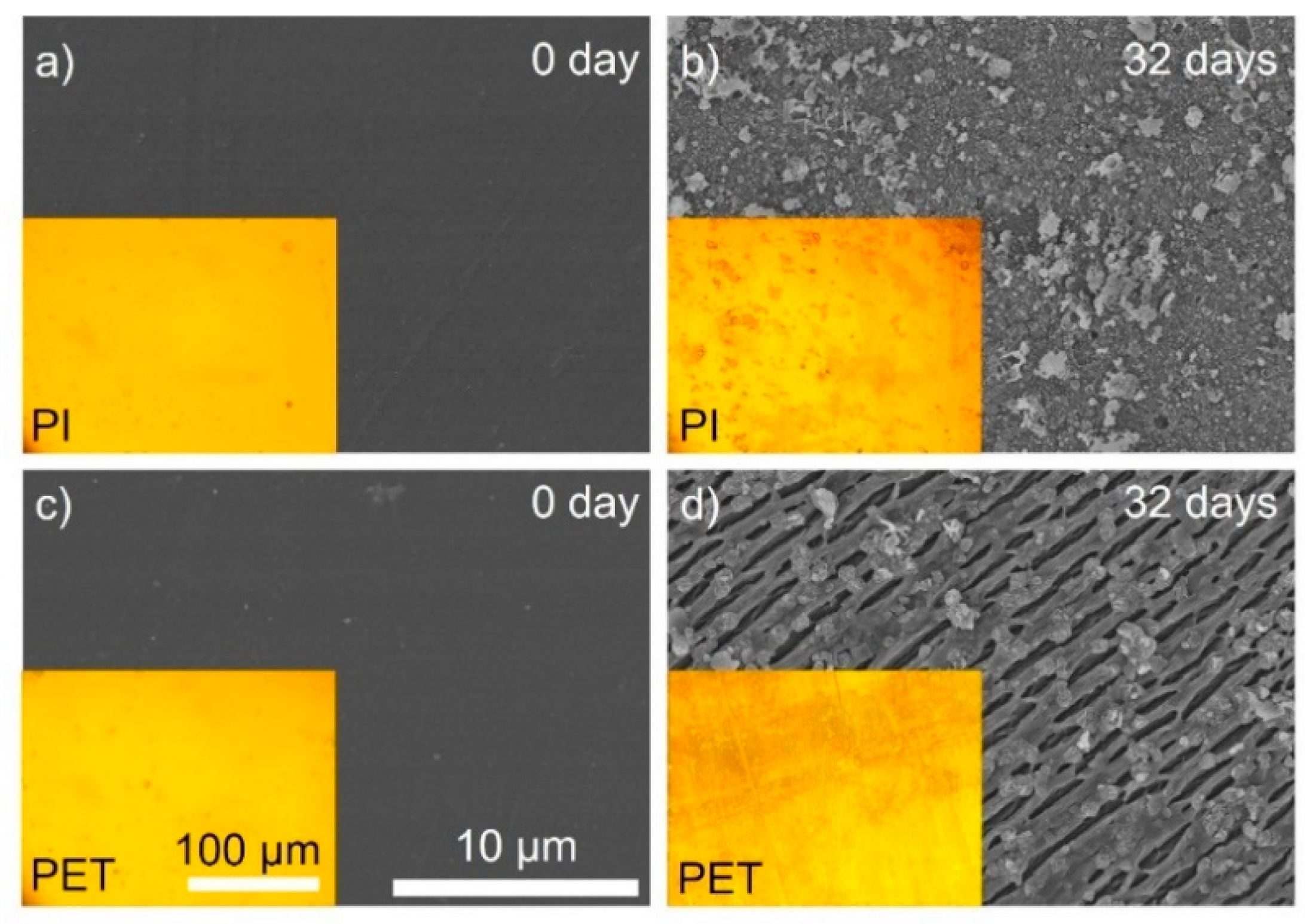 Coatings 13 00253 g001