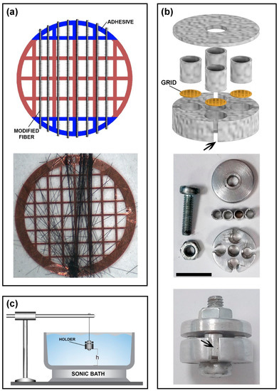 Coatings 13 00256 g002 550