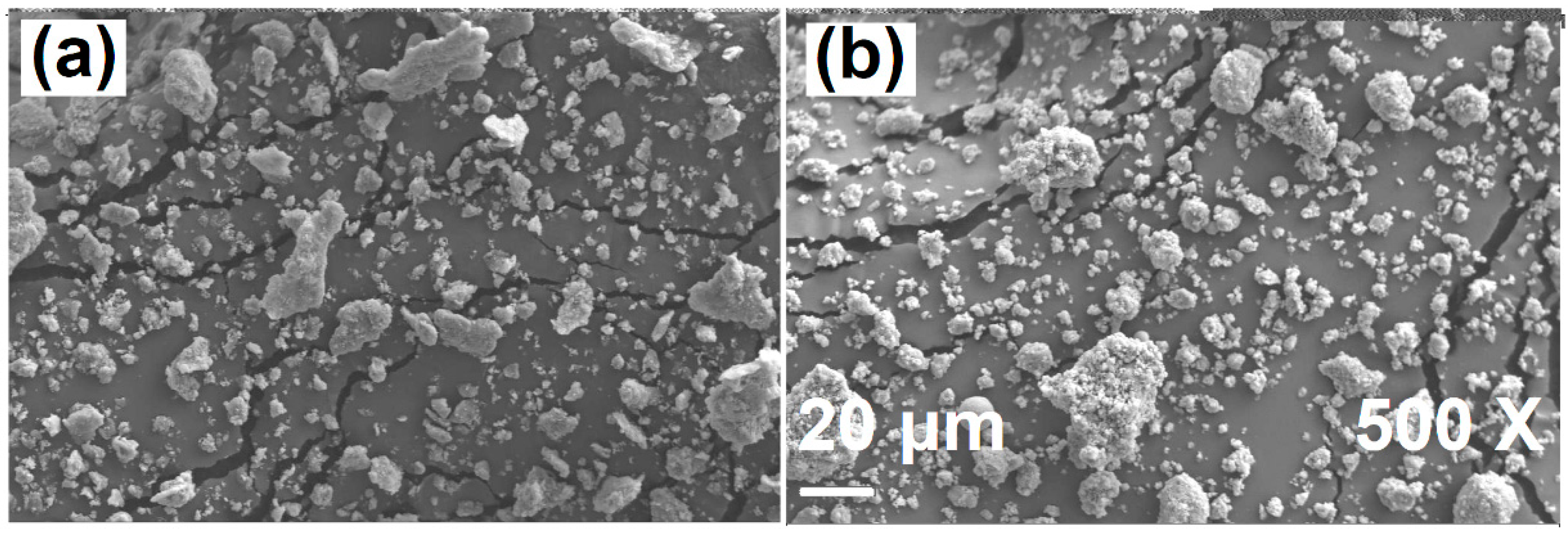 Coatings 13 00260 g003 Coatings 13 00260 g003