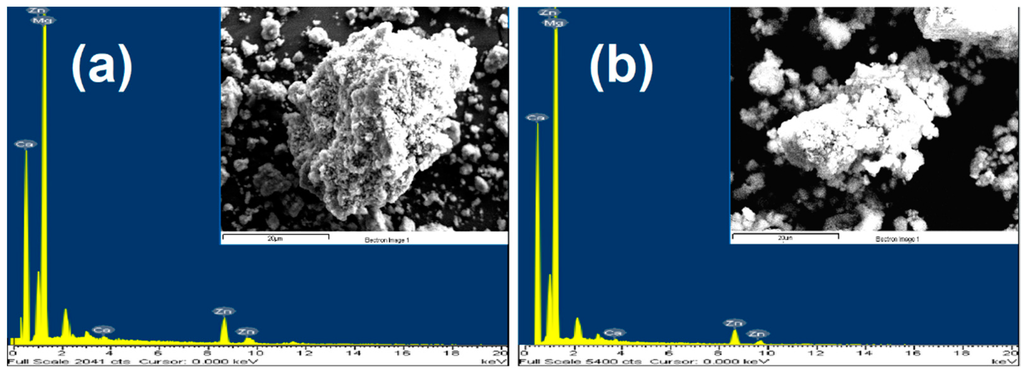 Coatings 13 00260 g004 Coatings 13 00260 g004