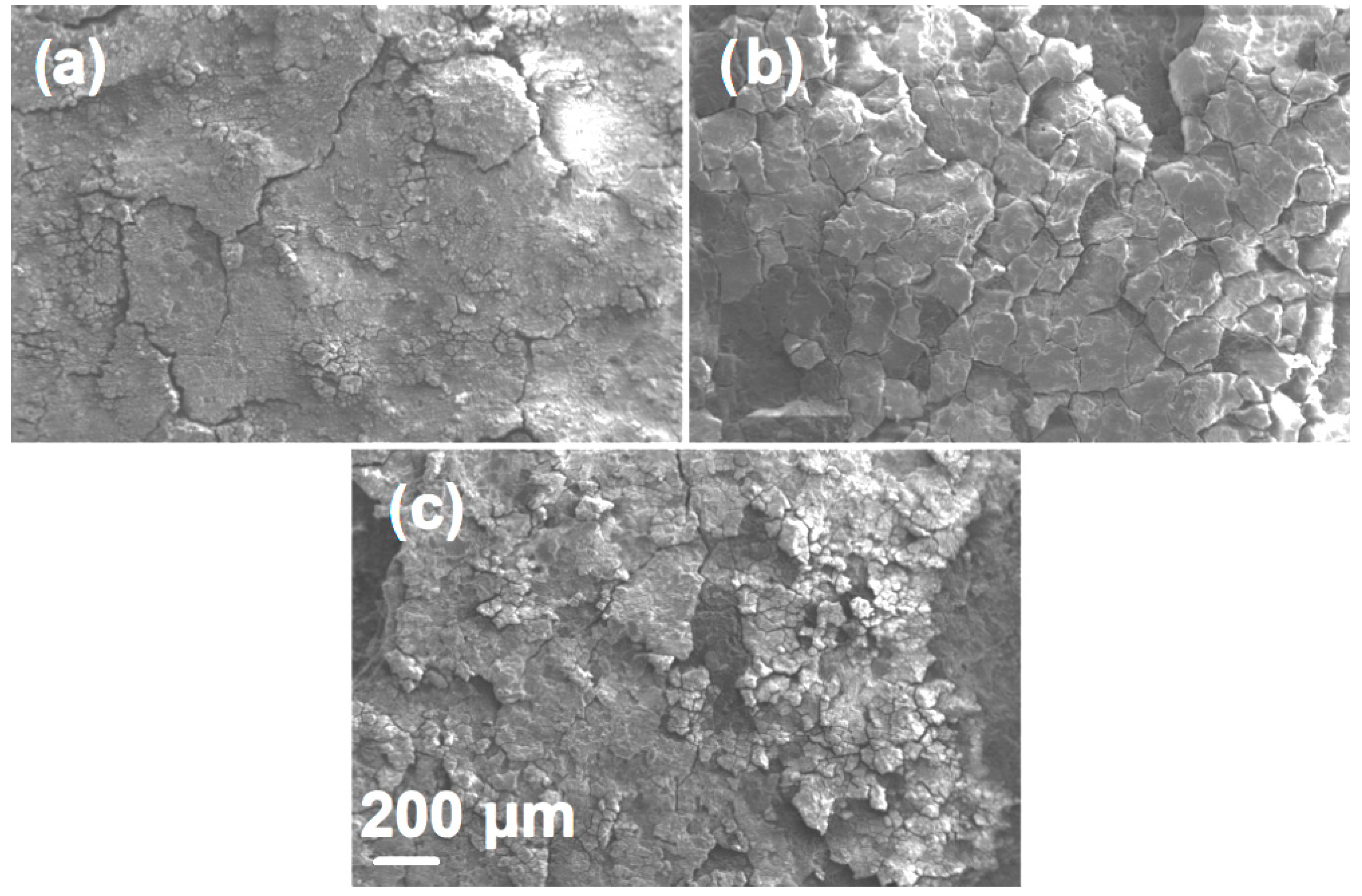 Coatings 13 00260 g011 Coatings 13 00260 g011