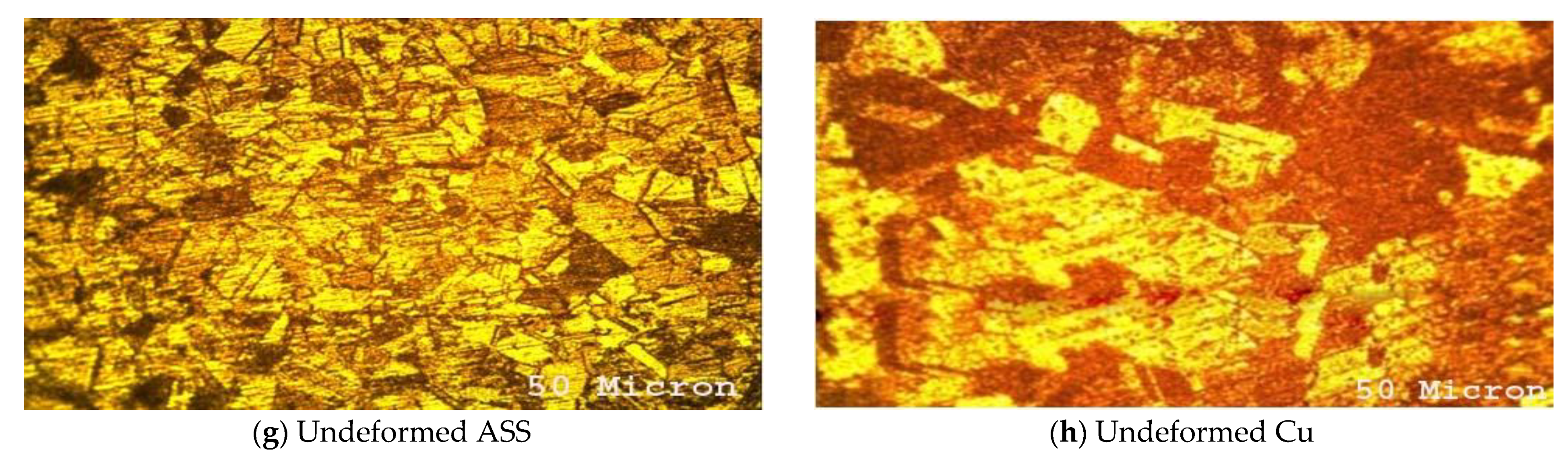 Coatings 13 00261 g004b Coatings 13 00261 g004b