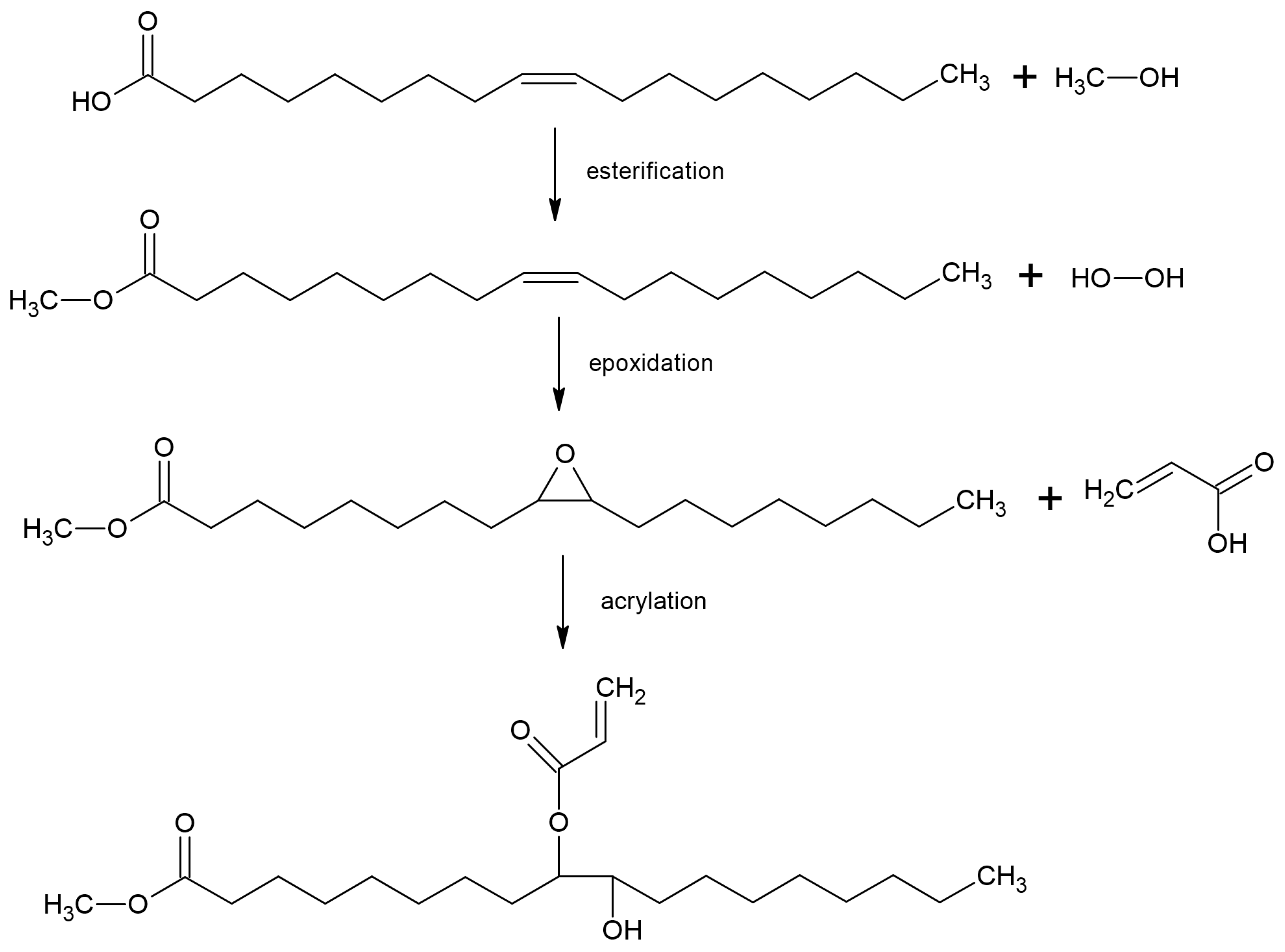 Coatings 13 00262 g001