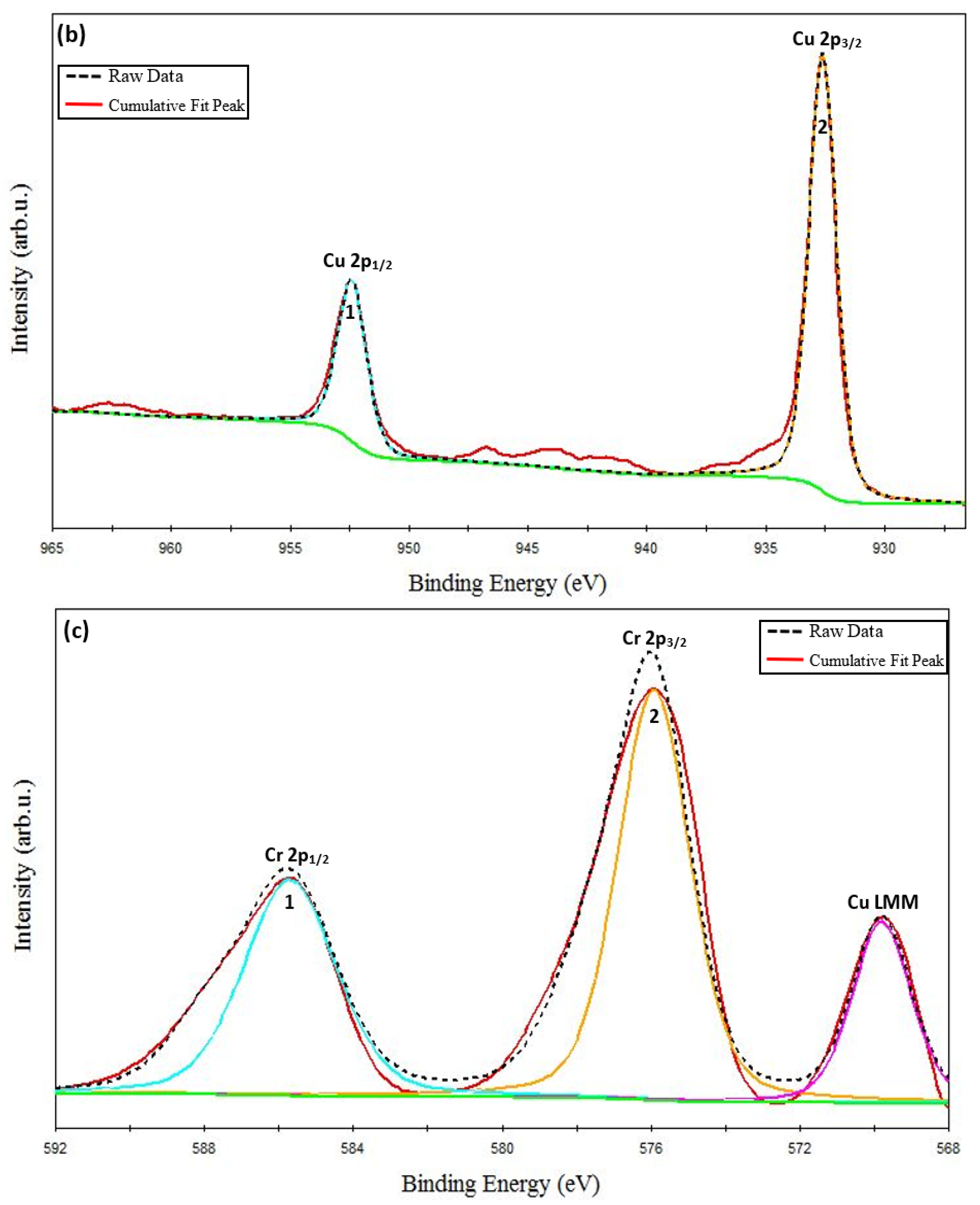 Coatings 13 00263 g003b Coatings 13 00263 g003b
