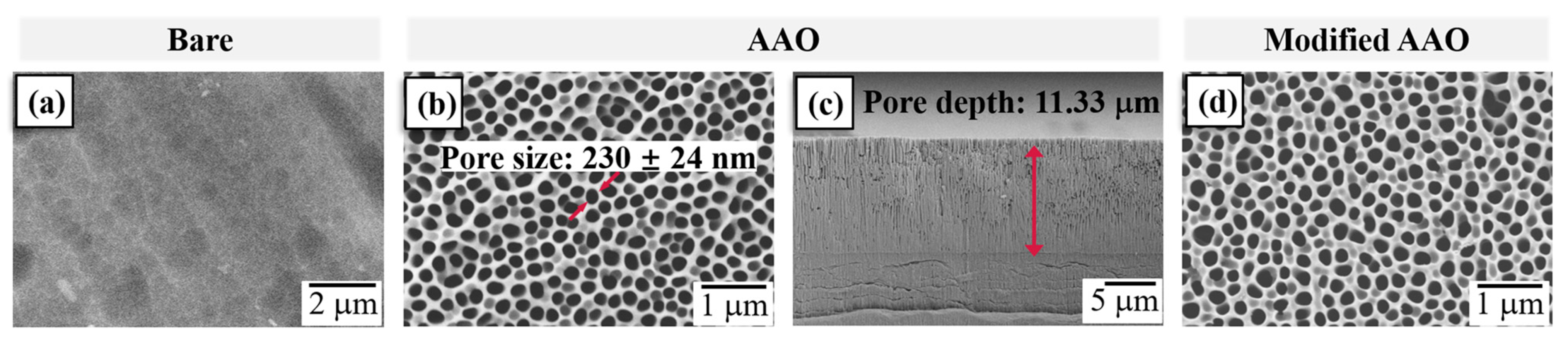 Coatings 13 00264 g001 Coatings 13 00264 g001