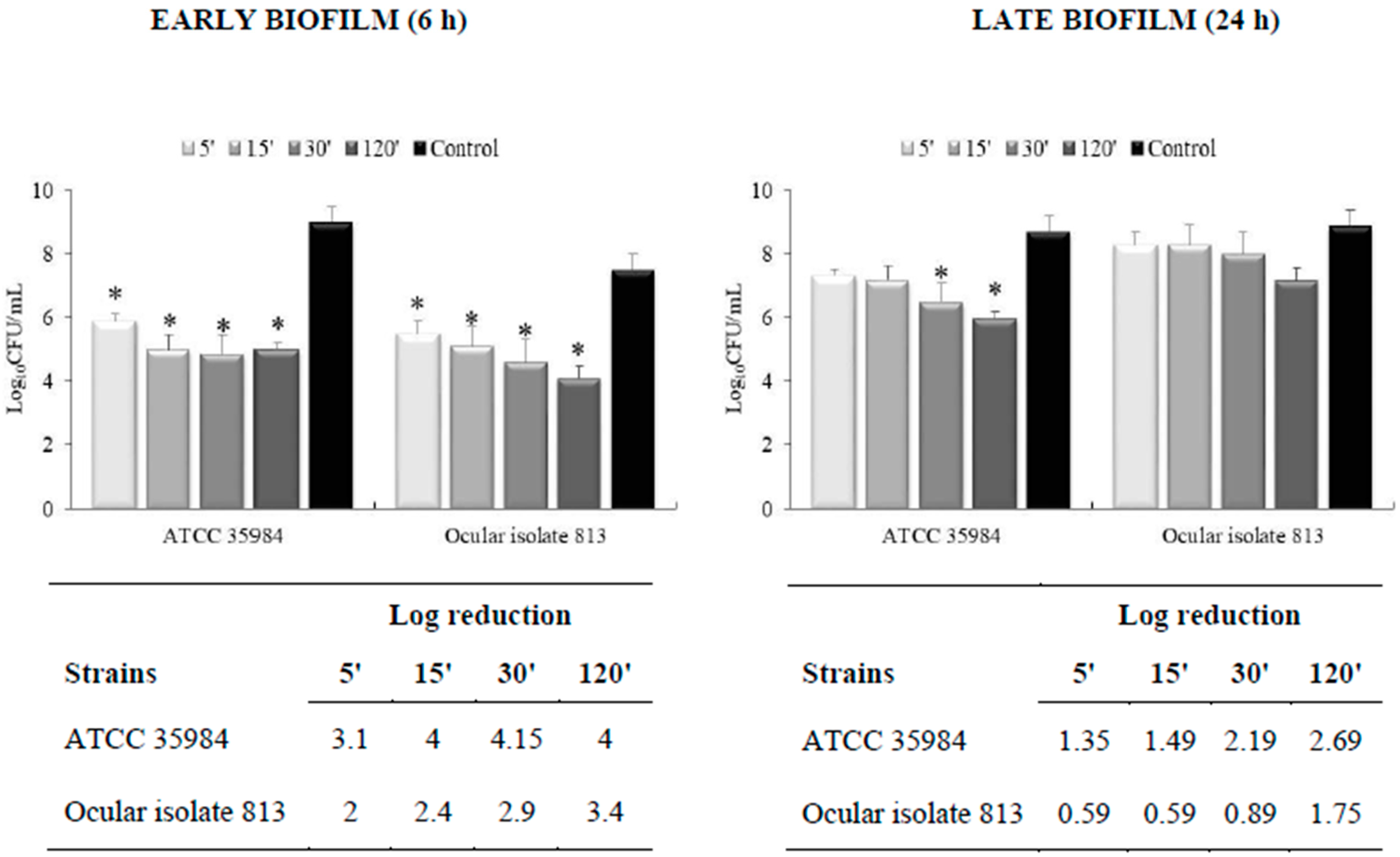 Coatings 13 00265 g002 Coatings 13 00265 g002