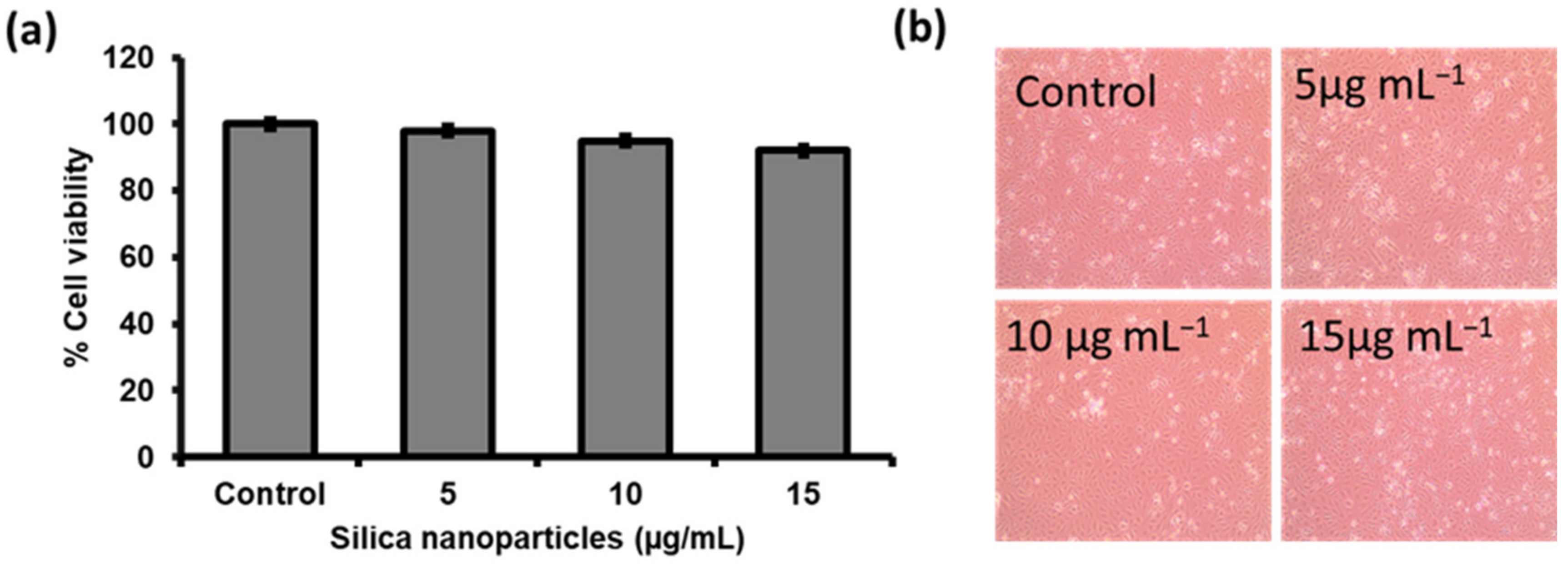Coatings 13 00268 g006 Coatings 13 00268 g006