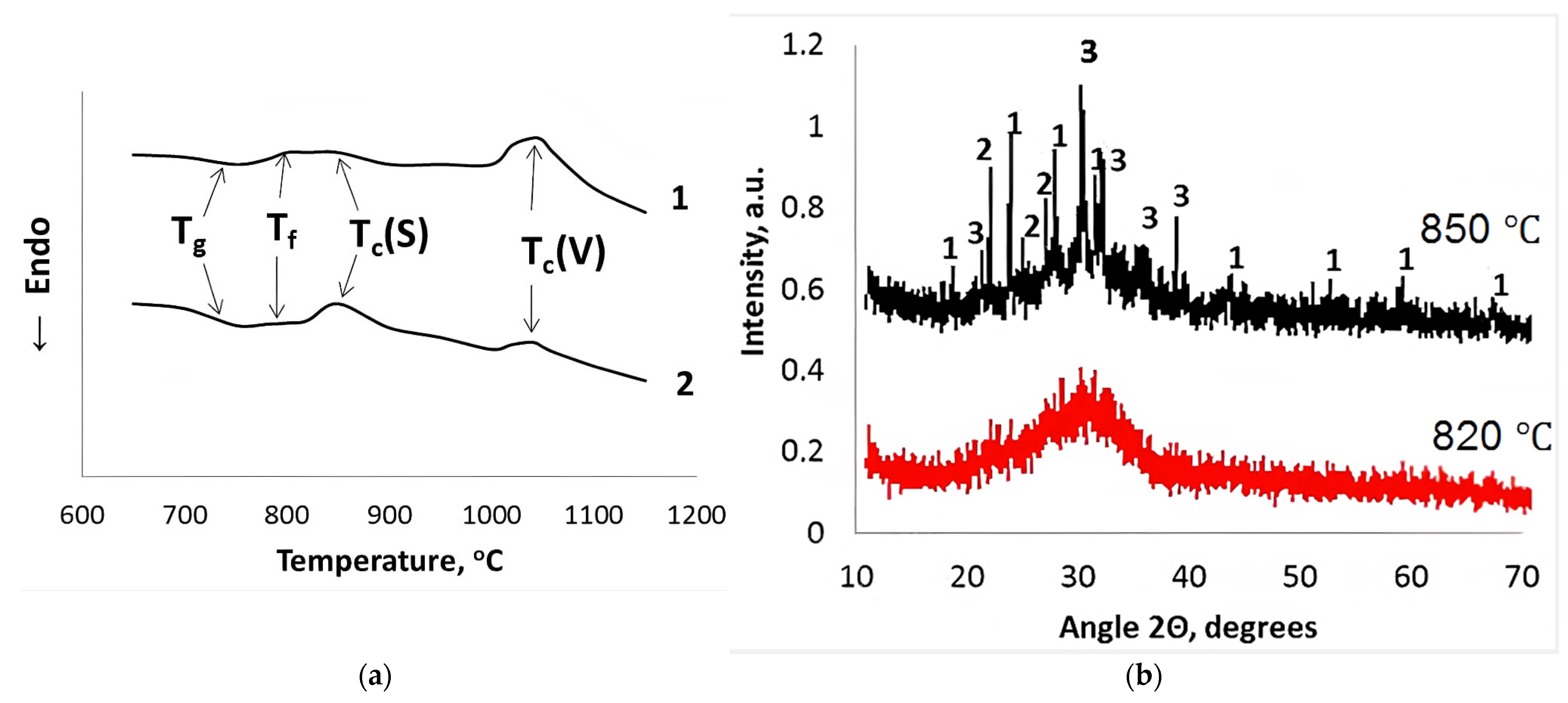 Coatings 13 00269 g001