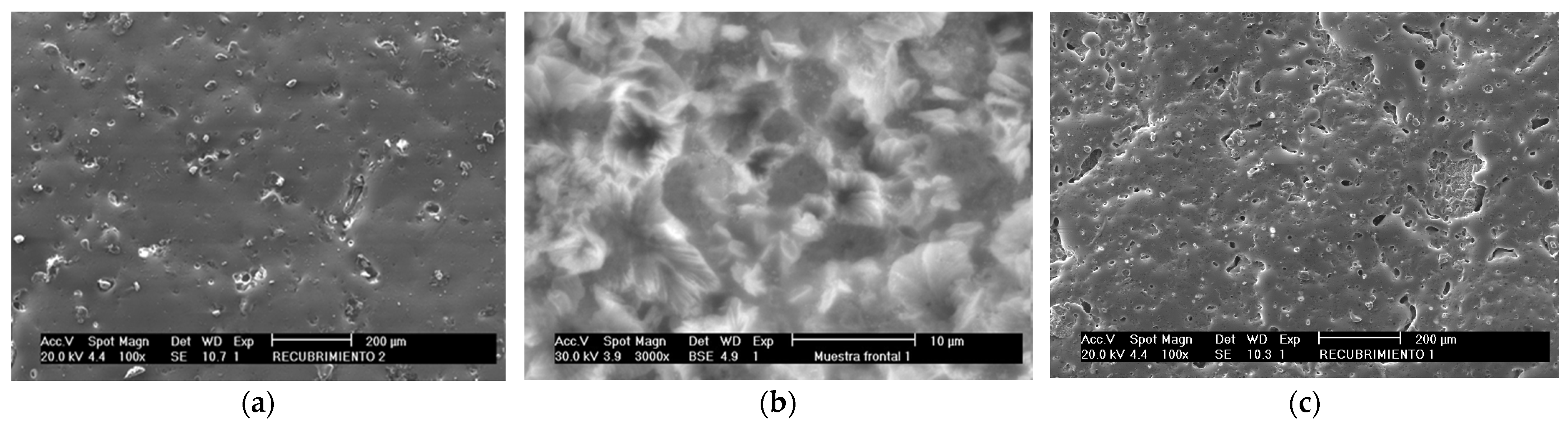 Coatings 13 00269 g002